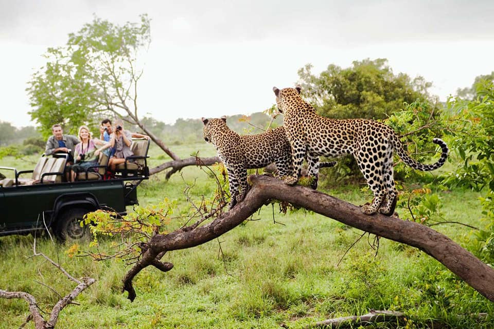 [ Où partons-nous ? En Afrique... - RTK Travel Center Rocourt