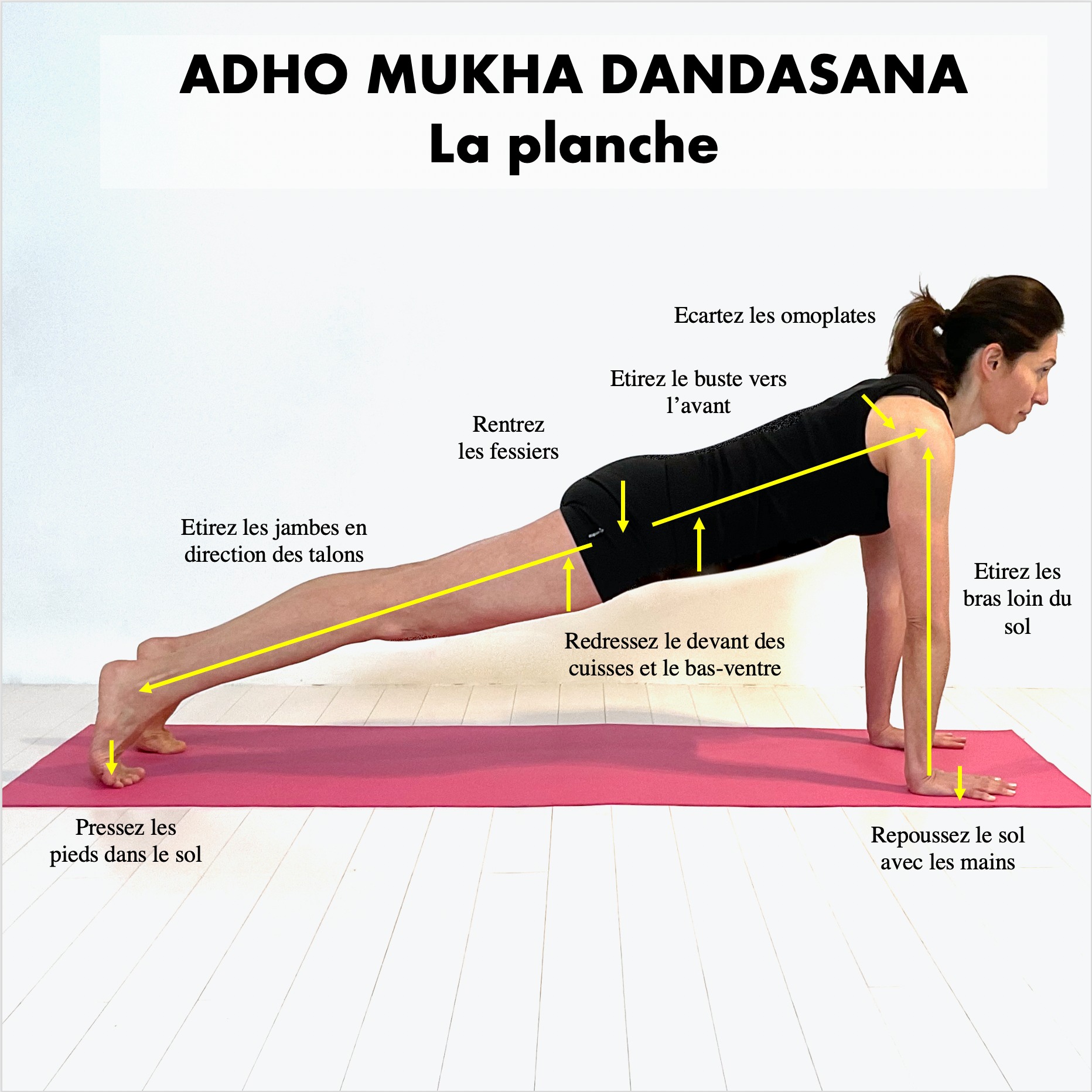ADHO MUKHA DANDASANA / La planche La posture de la Planche, Adho Mukha ...