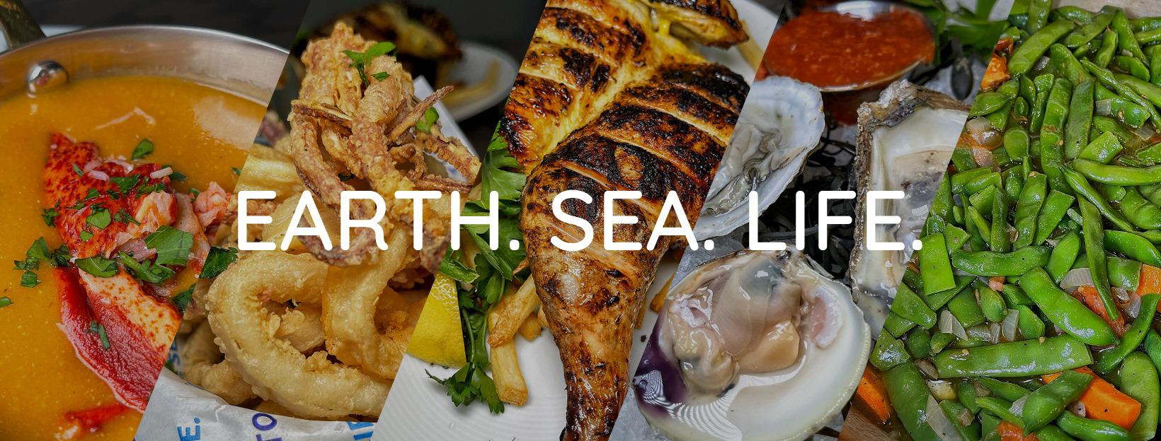 🏠🔑NORTH SHORE-WEST... - Noreen Giacopelli Realtor | Facebook