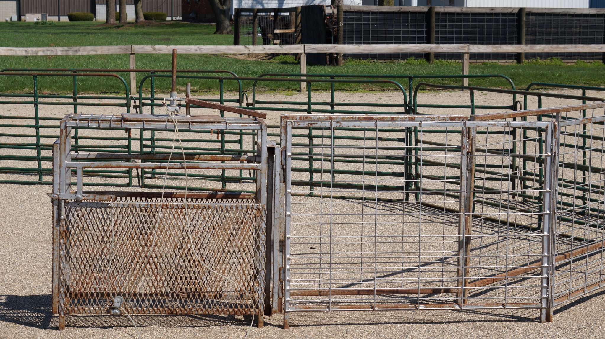 SOLD Goat roping arena for... - HCH Sales and Marketing | Facebook