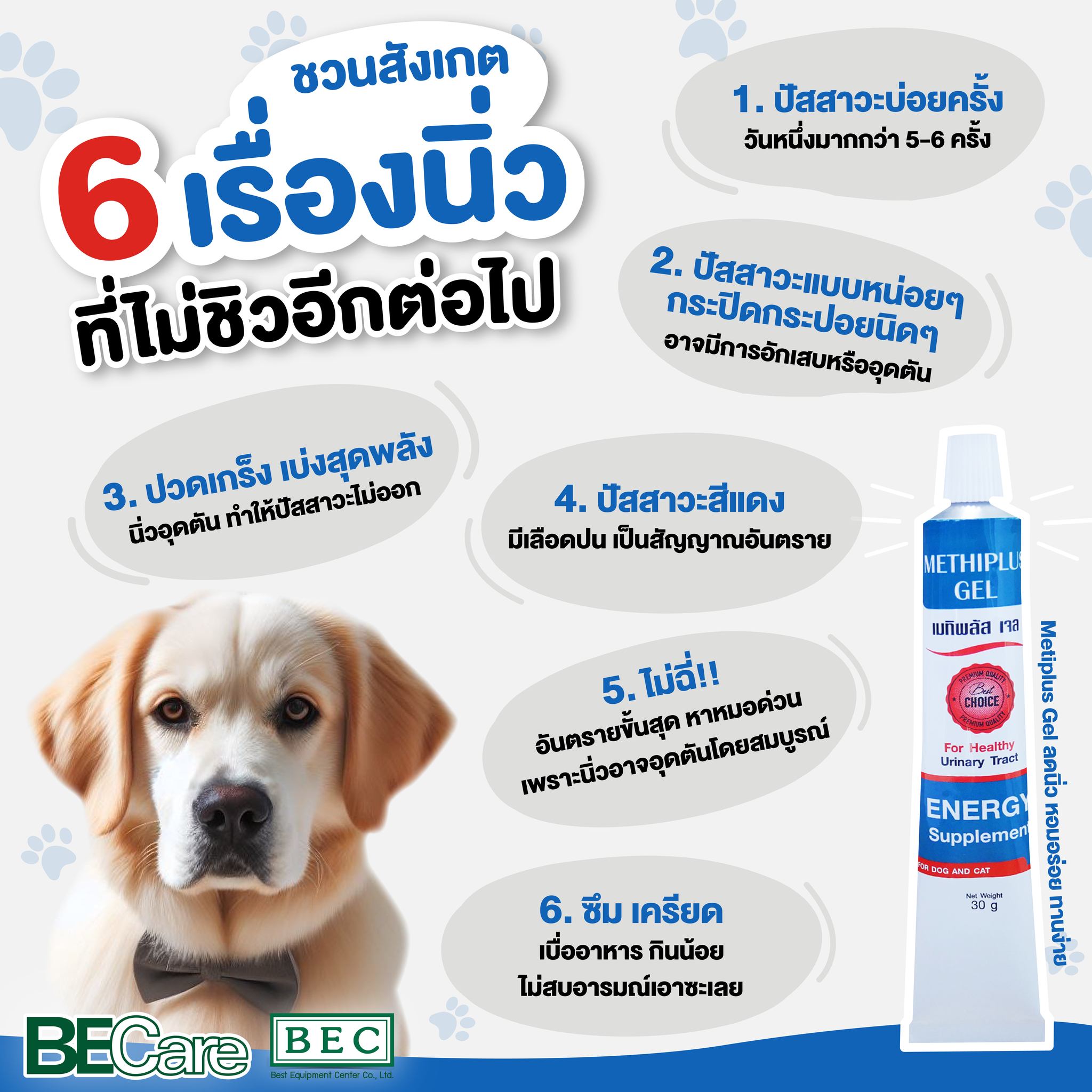 เรื่องนิ่วๆ... - BECare ผลิตภัณฑ์ สำหรับสัตว์เลี้ยง