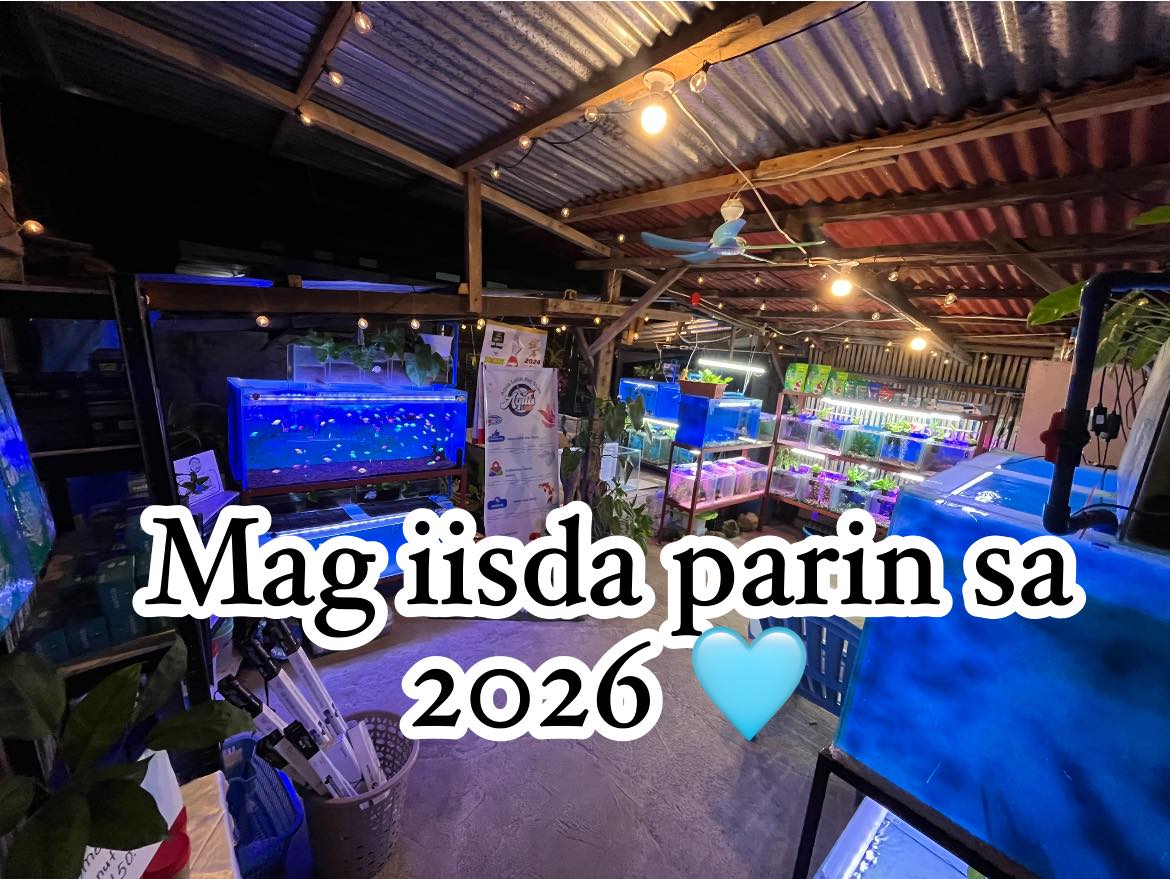 Mag iisda parin sa 2026 🩵 - Aqua Labb Pet Store | Facebook