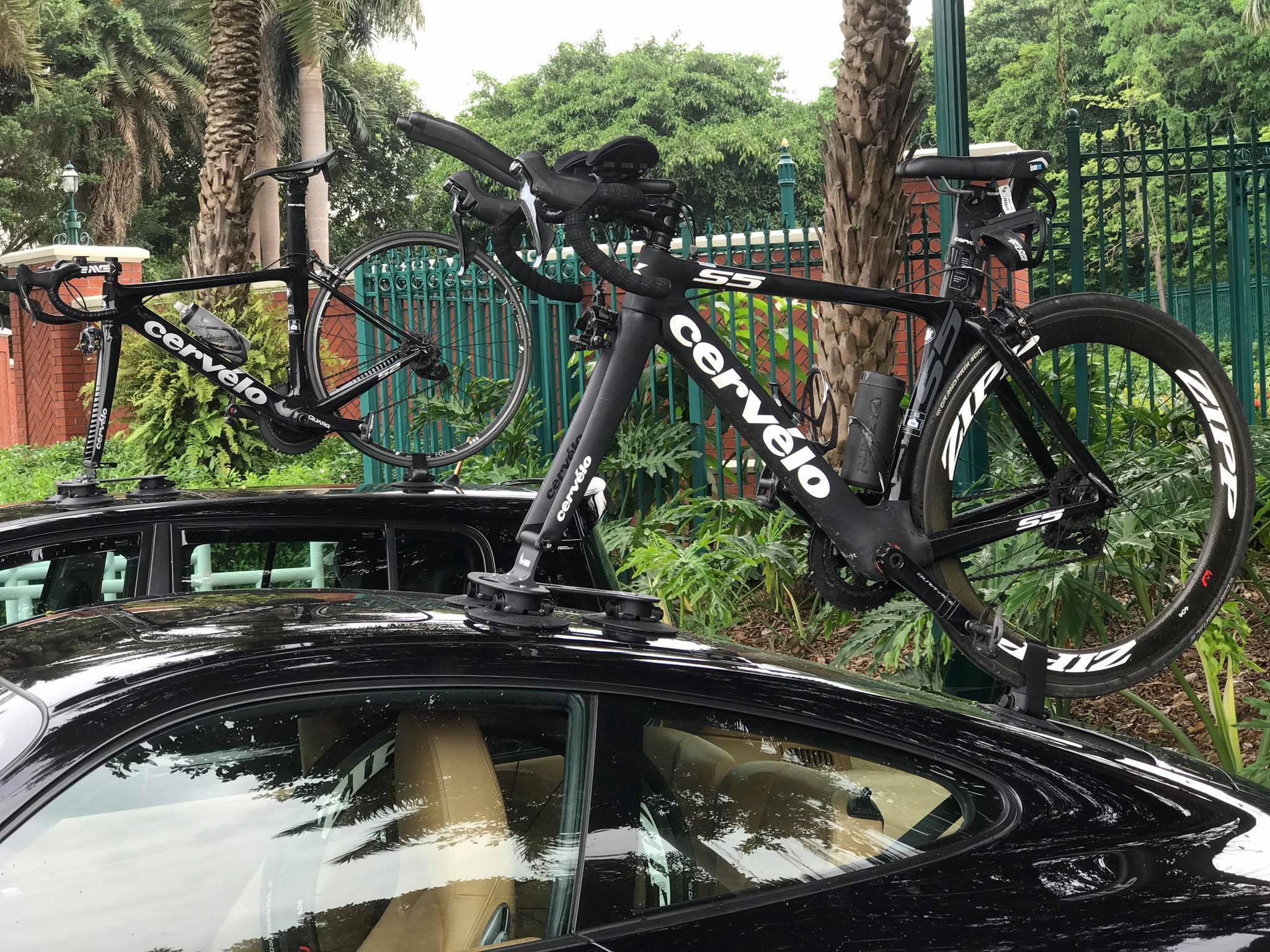 Tree Frog Bike Racks Hong Kong