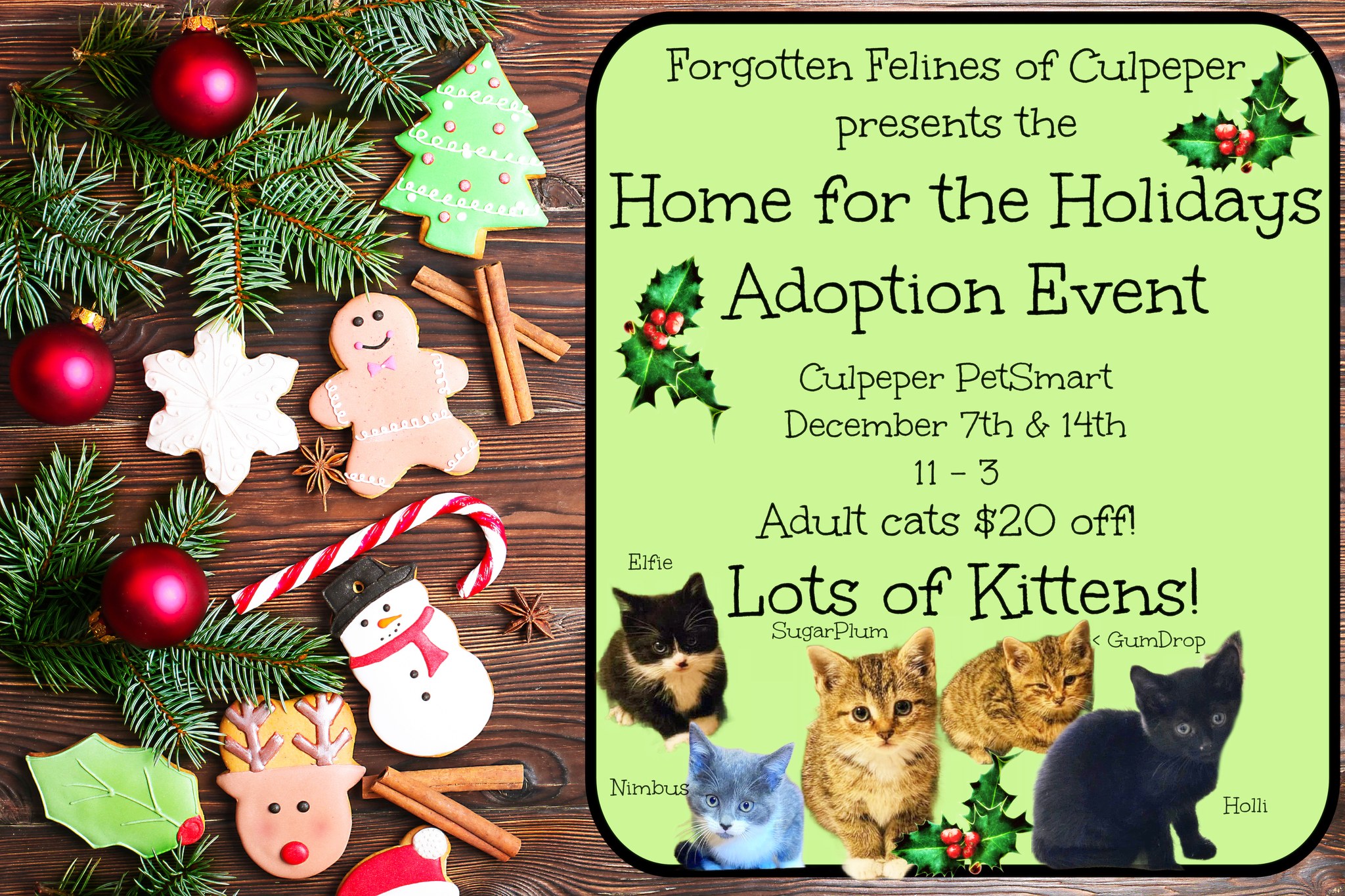 Forgotten Felines Home for the Holidays Adoption Event