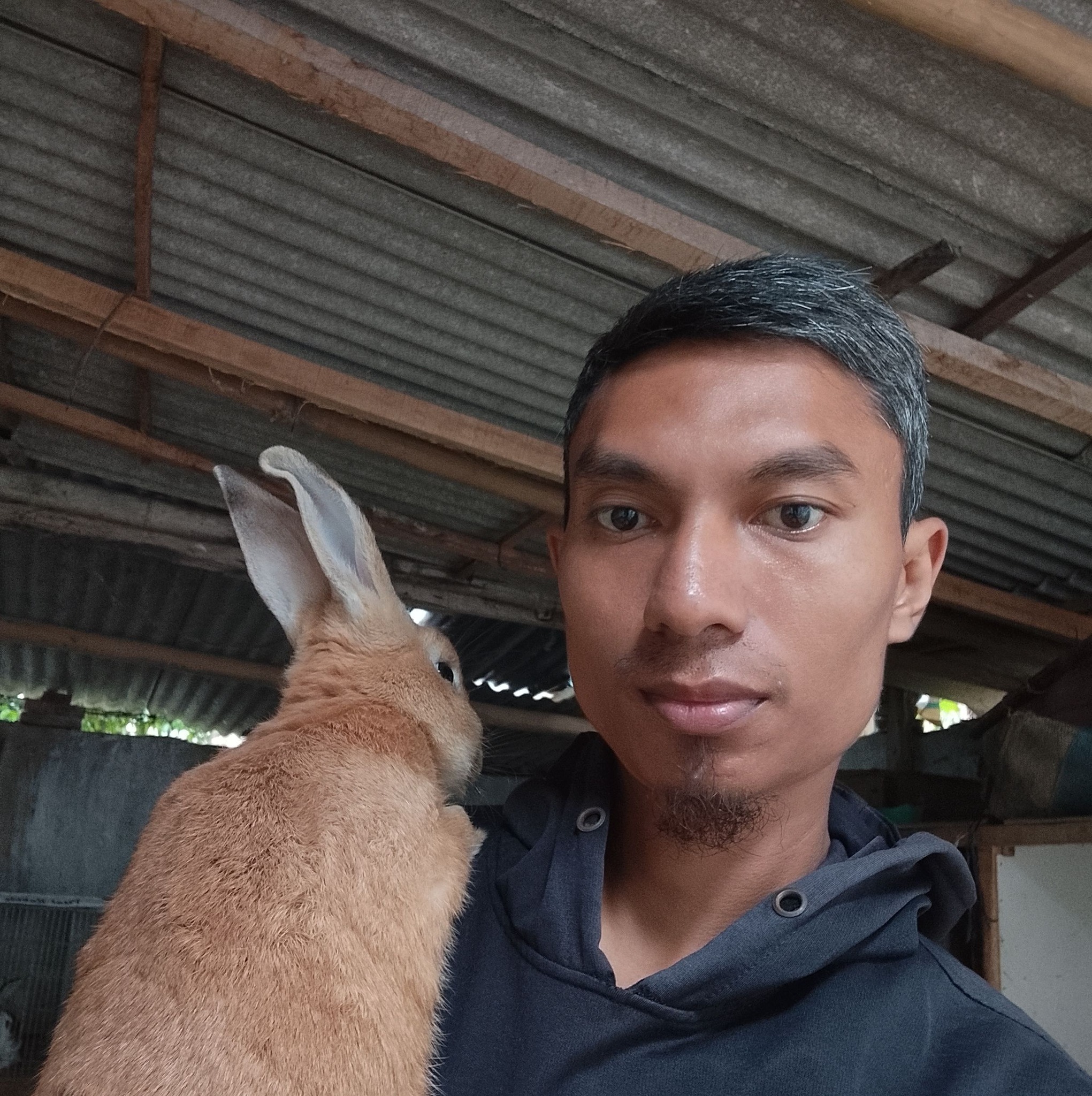 Poor rabbit #bunny #animals #petcare #rabbitworld | Hyuga Askari | Facebook