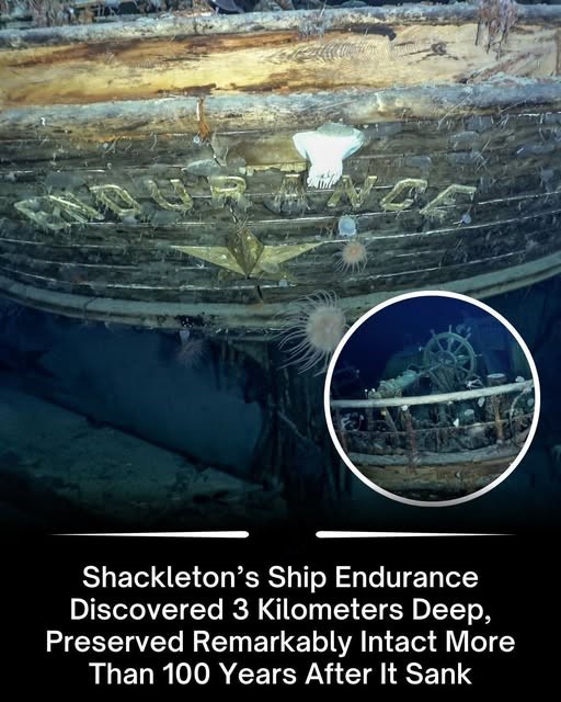 Ancient - Shackleton’s legendary ship, Endurance, has been discovered 3 ...