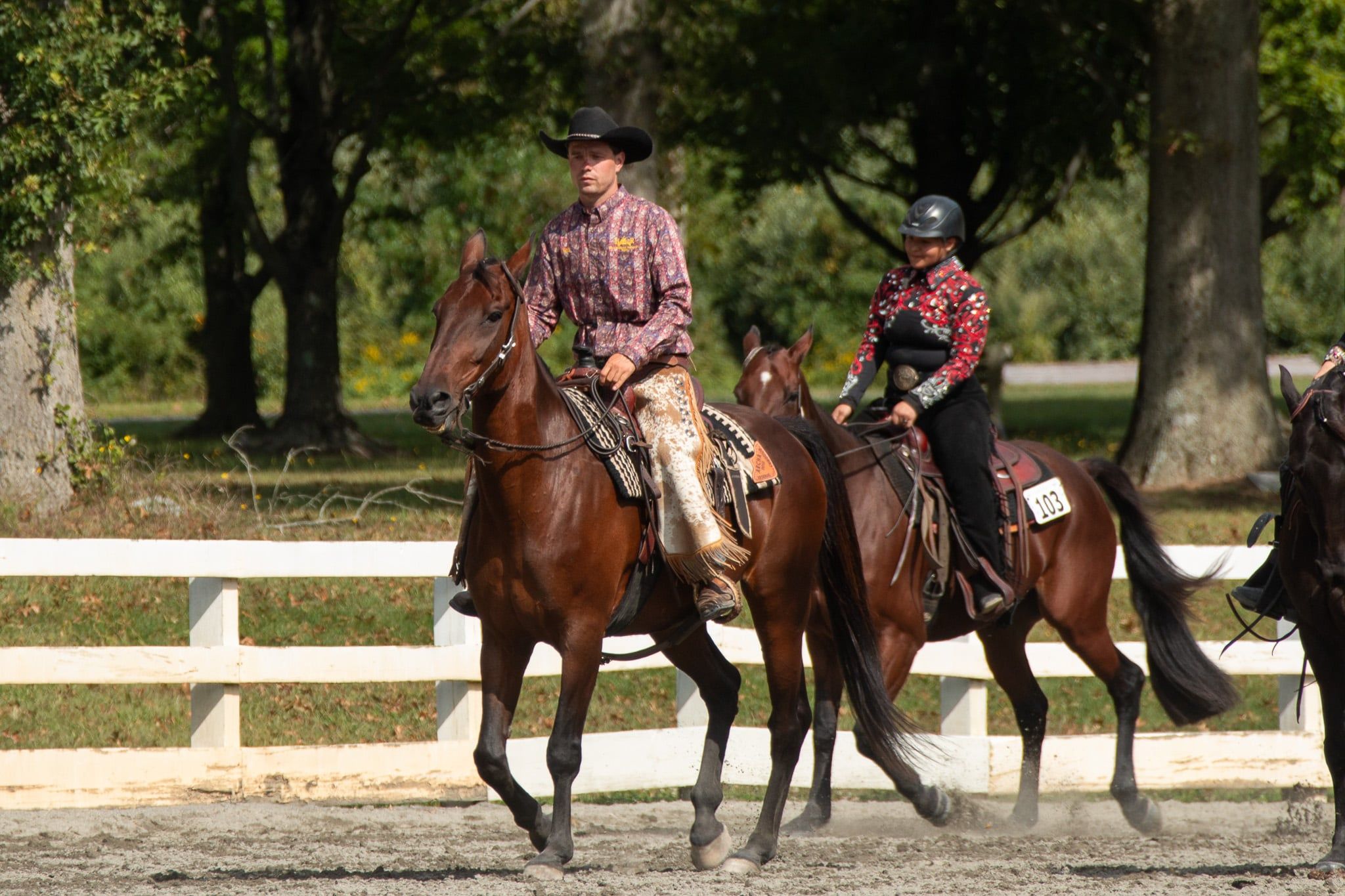 Standardbred Pleasure Horse Organization of New Jersey | Atco NJ