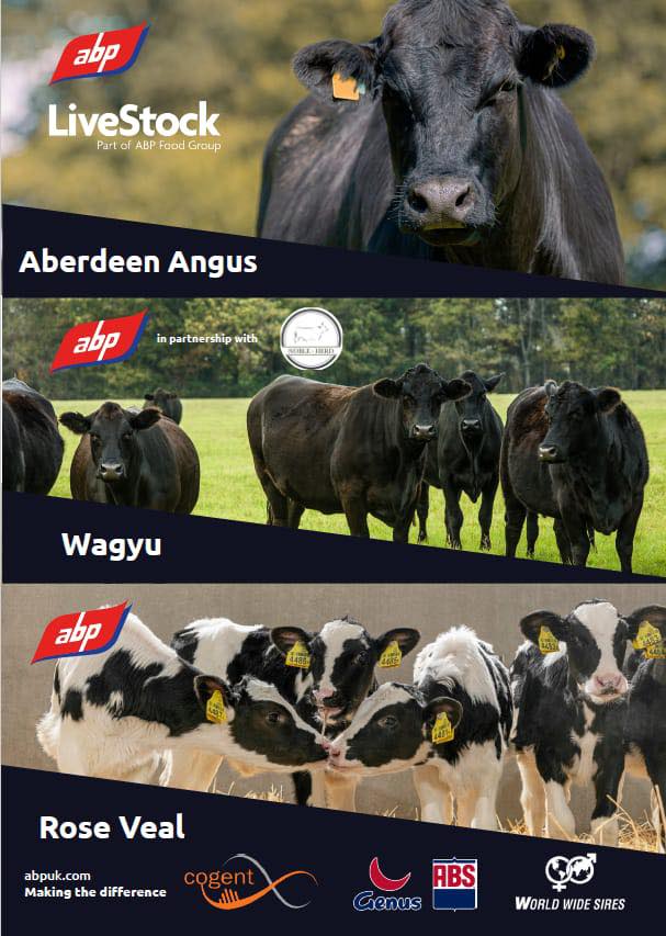 ABP Lurgan - Part of the ABP Food Group | Lurgan
