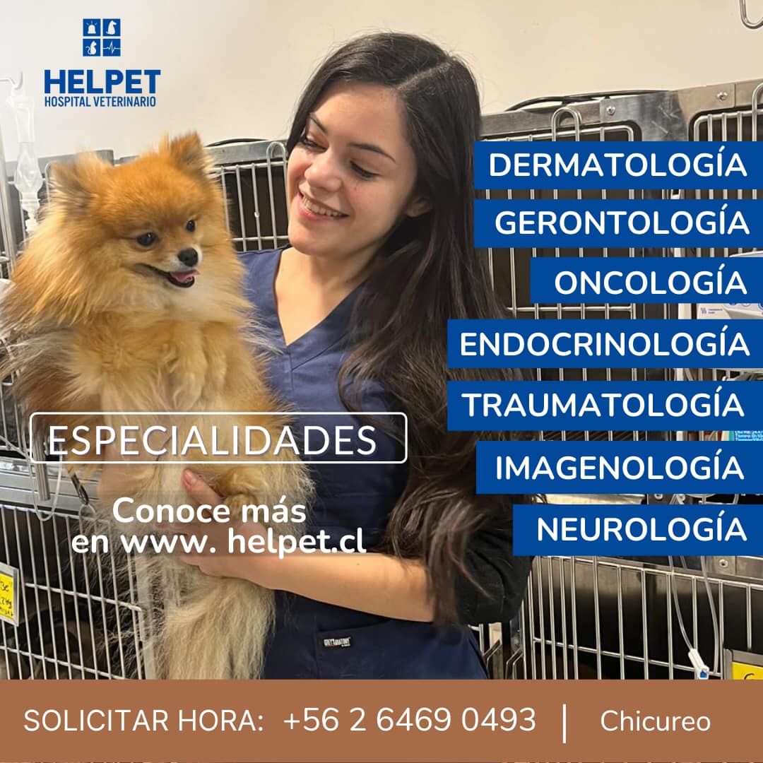Los Médicos y Médicas... - Helpet Hospital Veterinario | Facebook