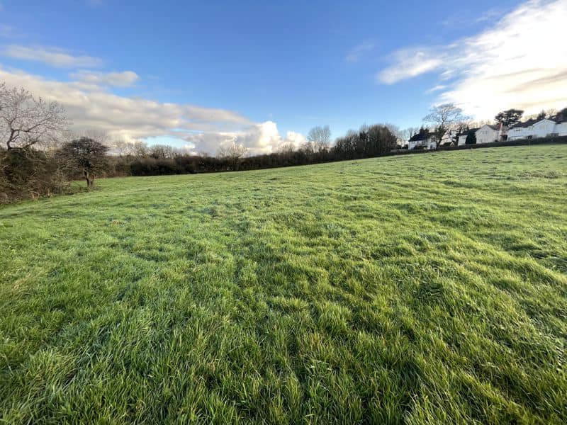 TO LET Approximately... - Herbert R Thomas - Agriculture | Facebook