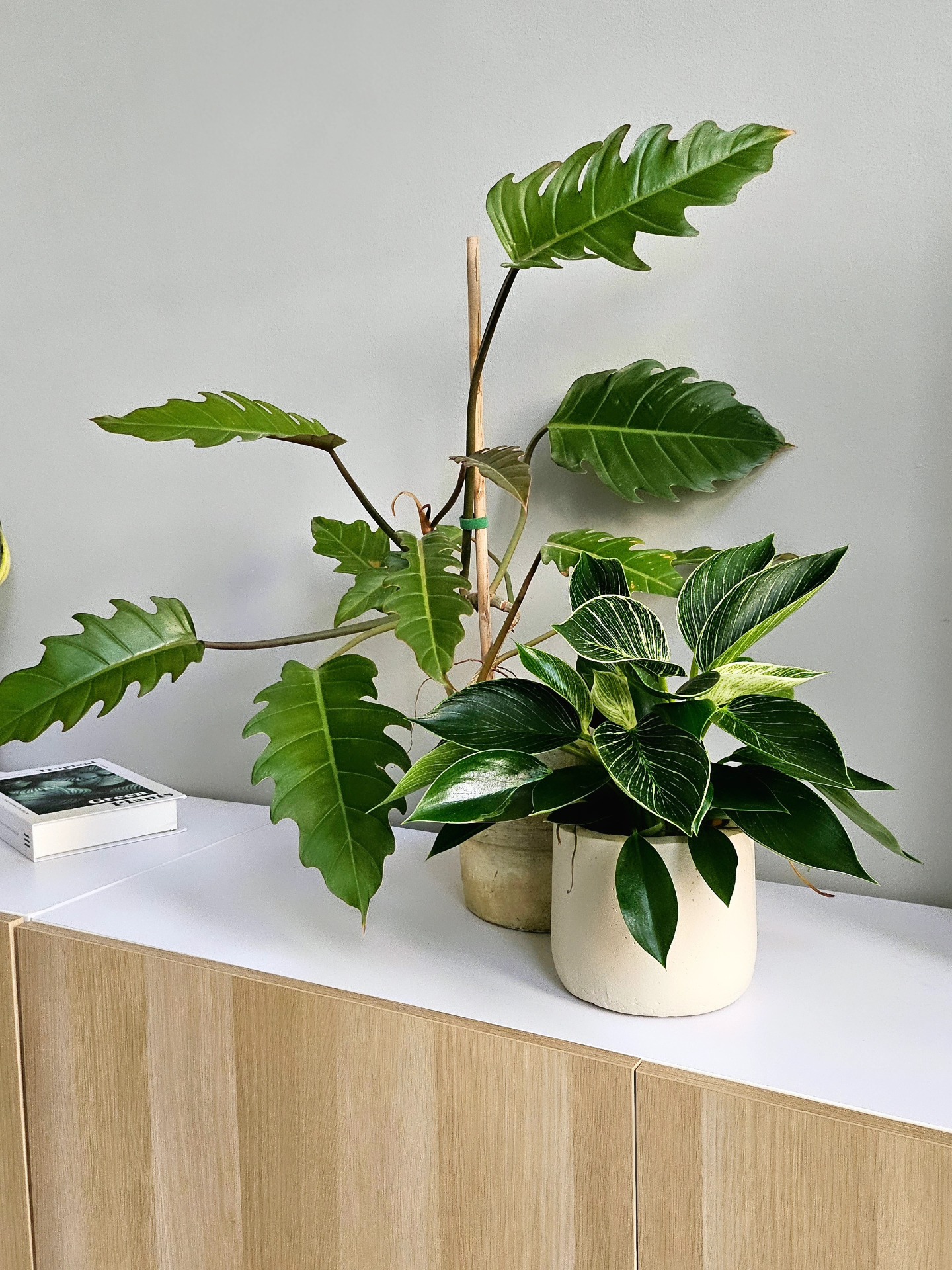 Curated visual reference: Gallery Detail: Leaf In Motion