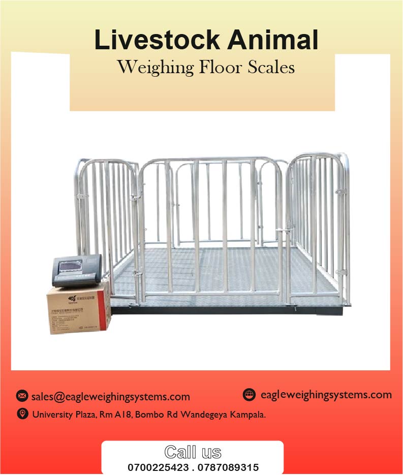 Animal and Farm Weighing Scales Supplier in Kampala Uganda | Kampala
