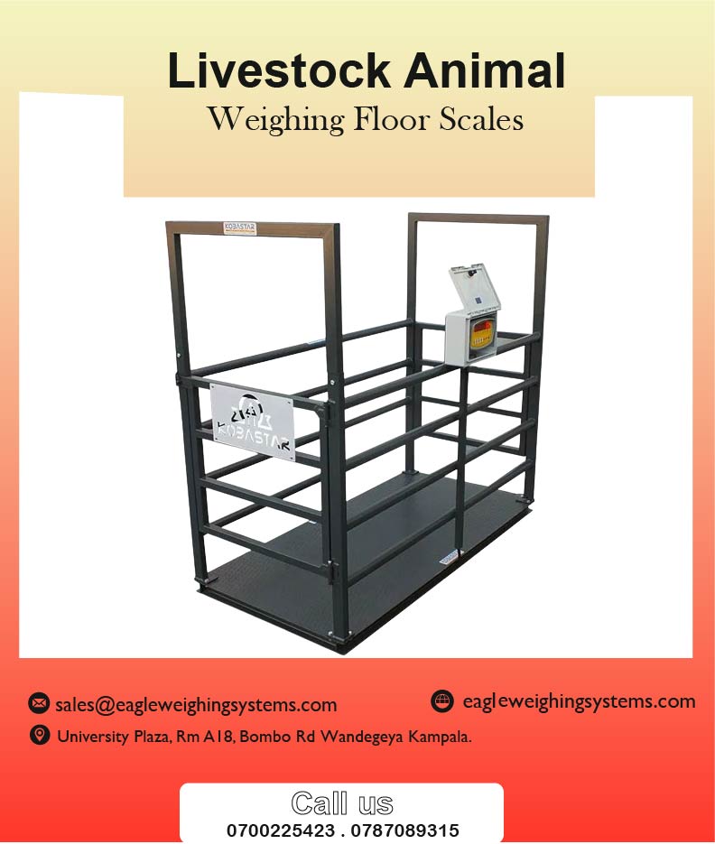 Animal and Farm Weighing Scales Supplier in Kampala Uganda | Kampala
