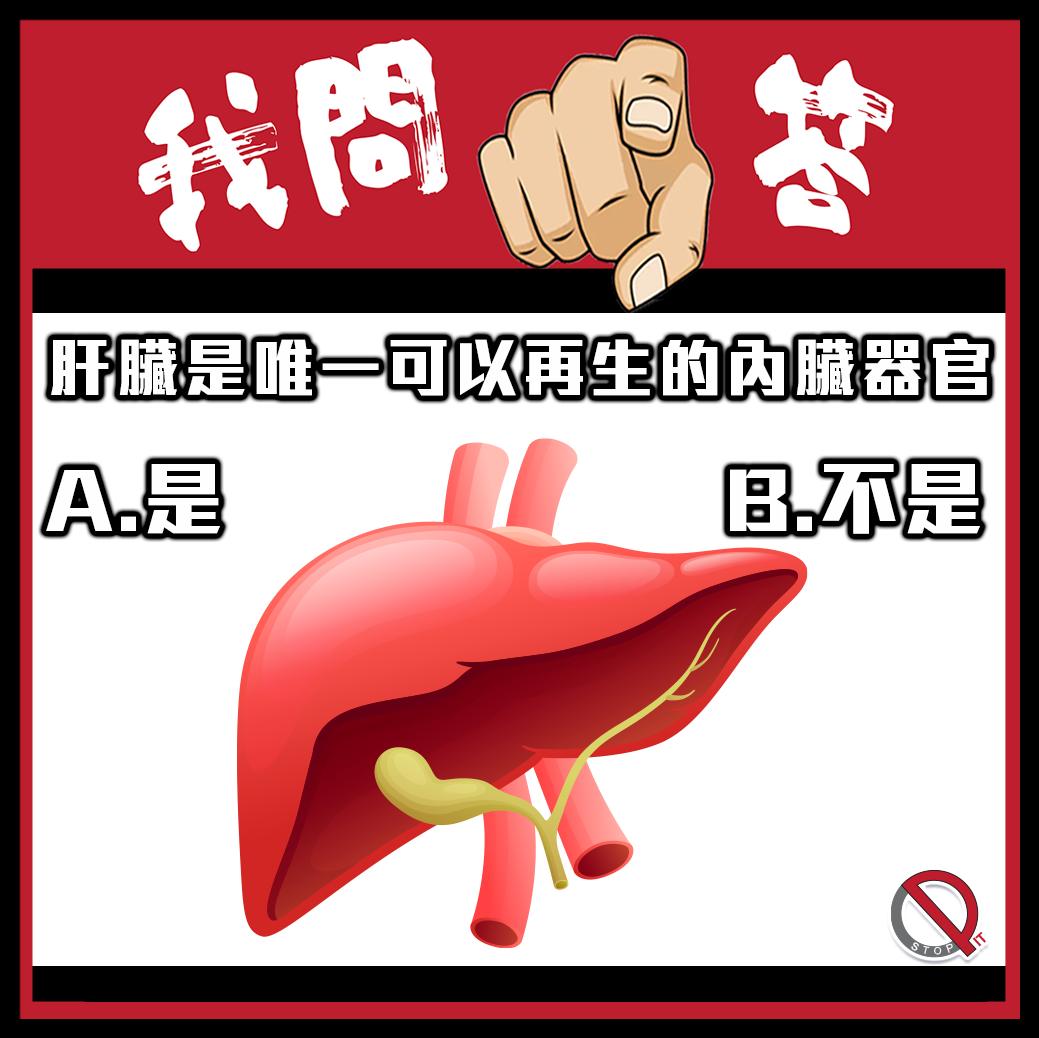 Pit Stop 停站 - 【人體冷知識】 肝臟是人體唯一可以自我再生的內臟器官？ 你答: A. 是 B. 不是... | Facebook