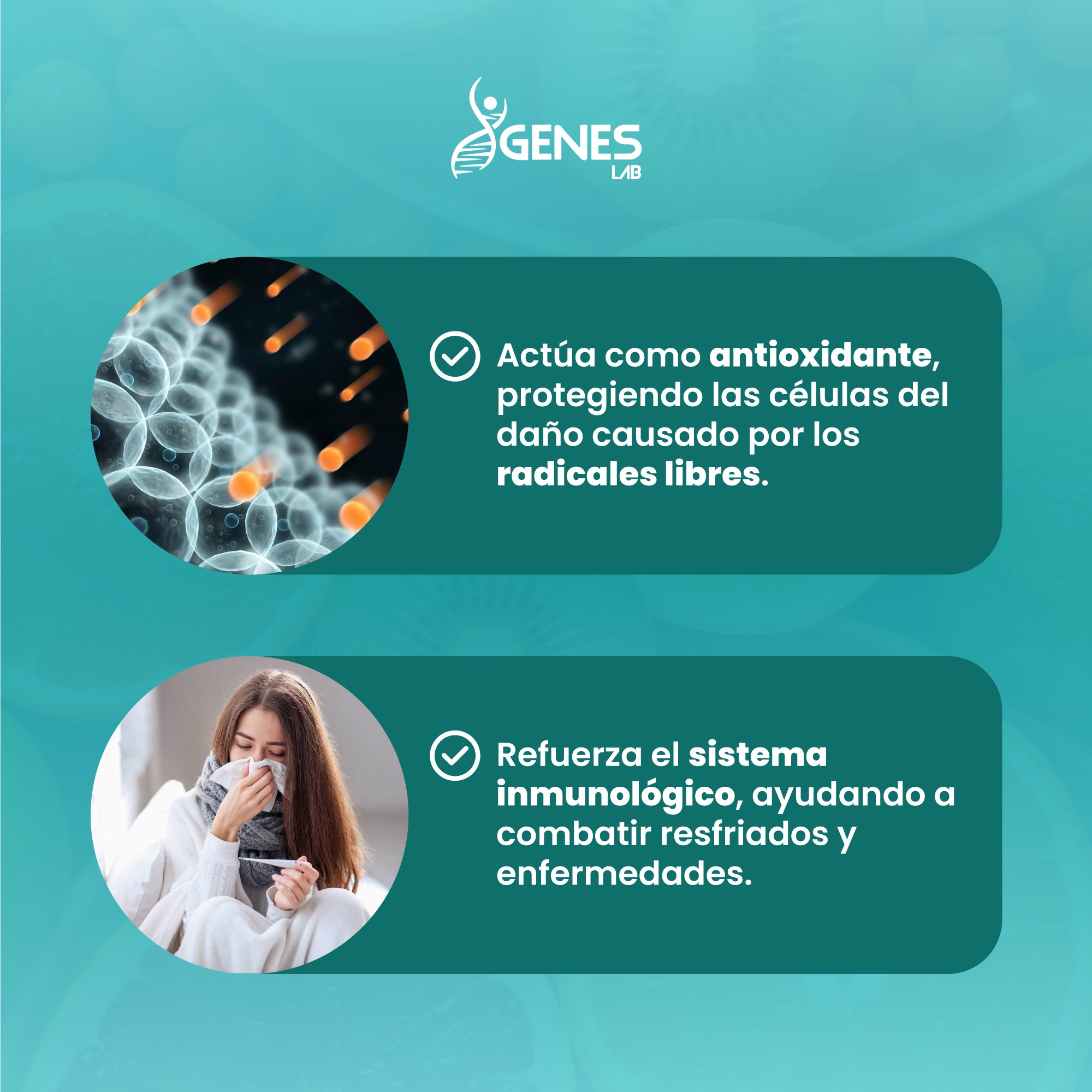 Genes LAB - La vitamina C es clave para mantenernos...