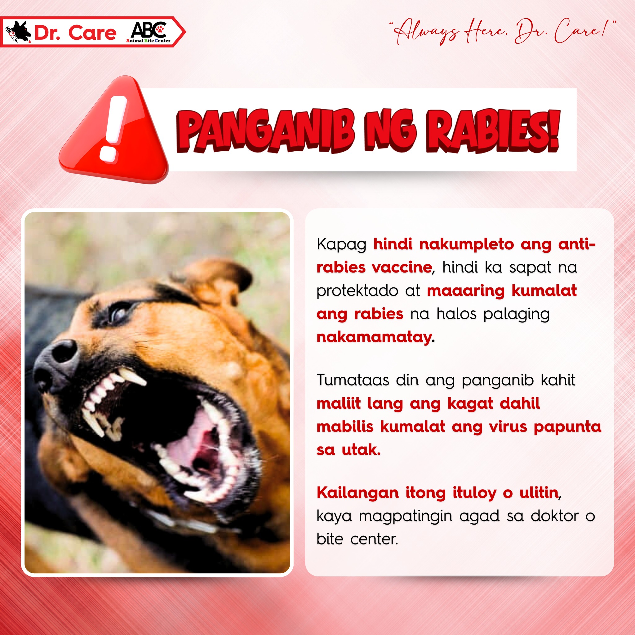 Dr. - Hindi kumpletong bakuna? Delikado ka sa rabies. Magpatingin agad ...