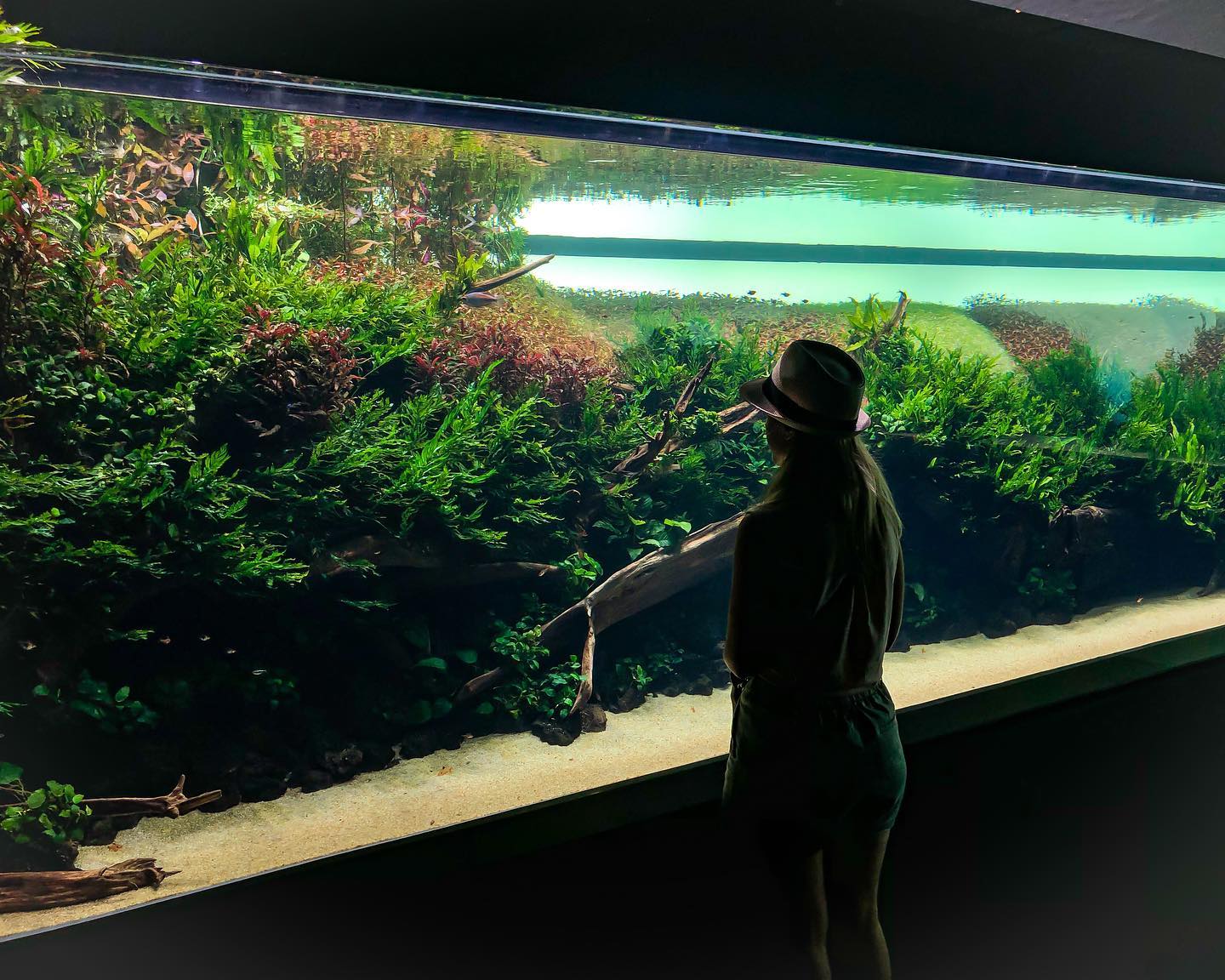 Throwback to visiting the world’s... - Botany Way Scapes