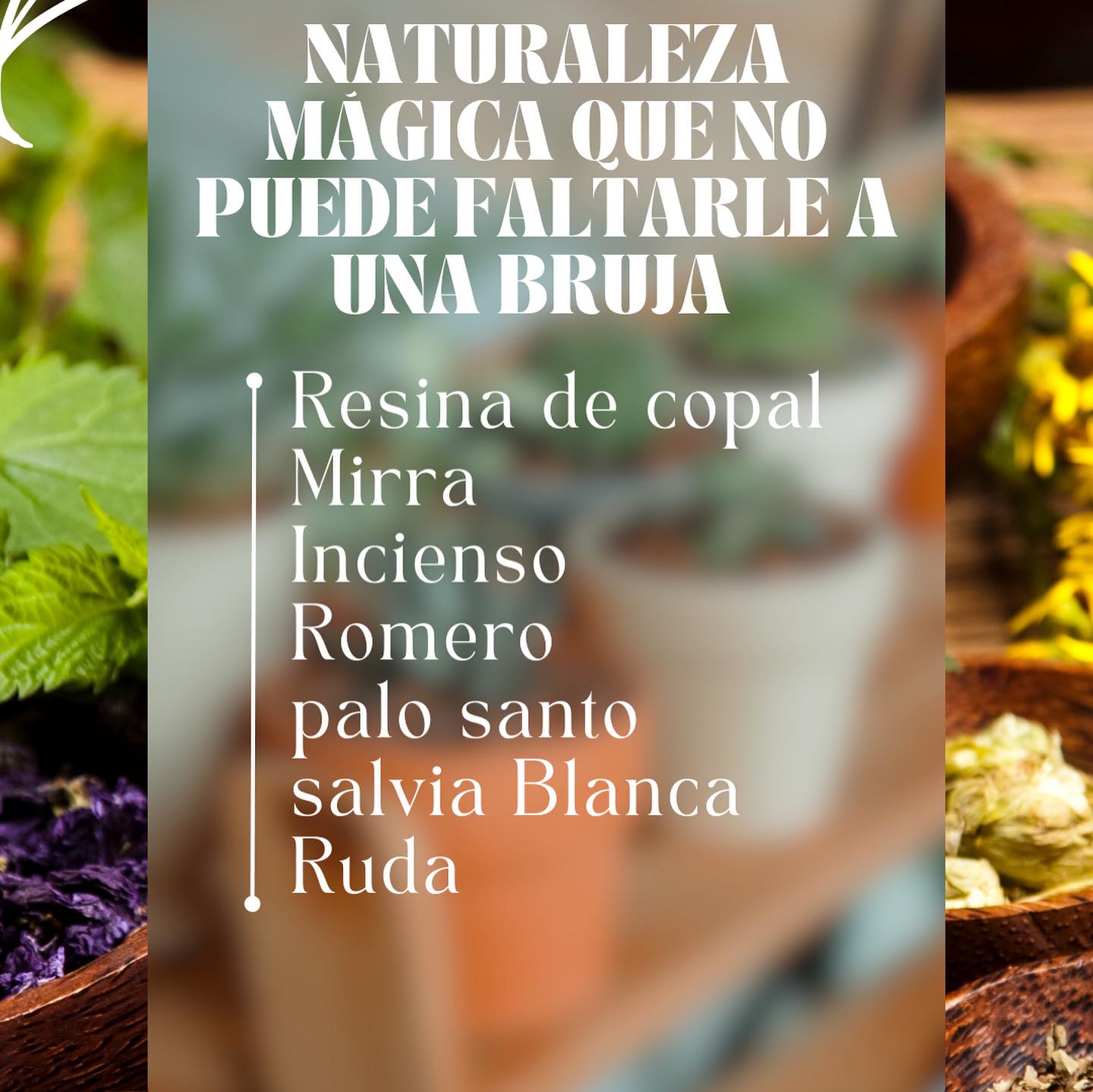 El Jardín de Clarita added a new photo. - El Jardín de Clarita