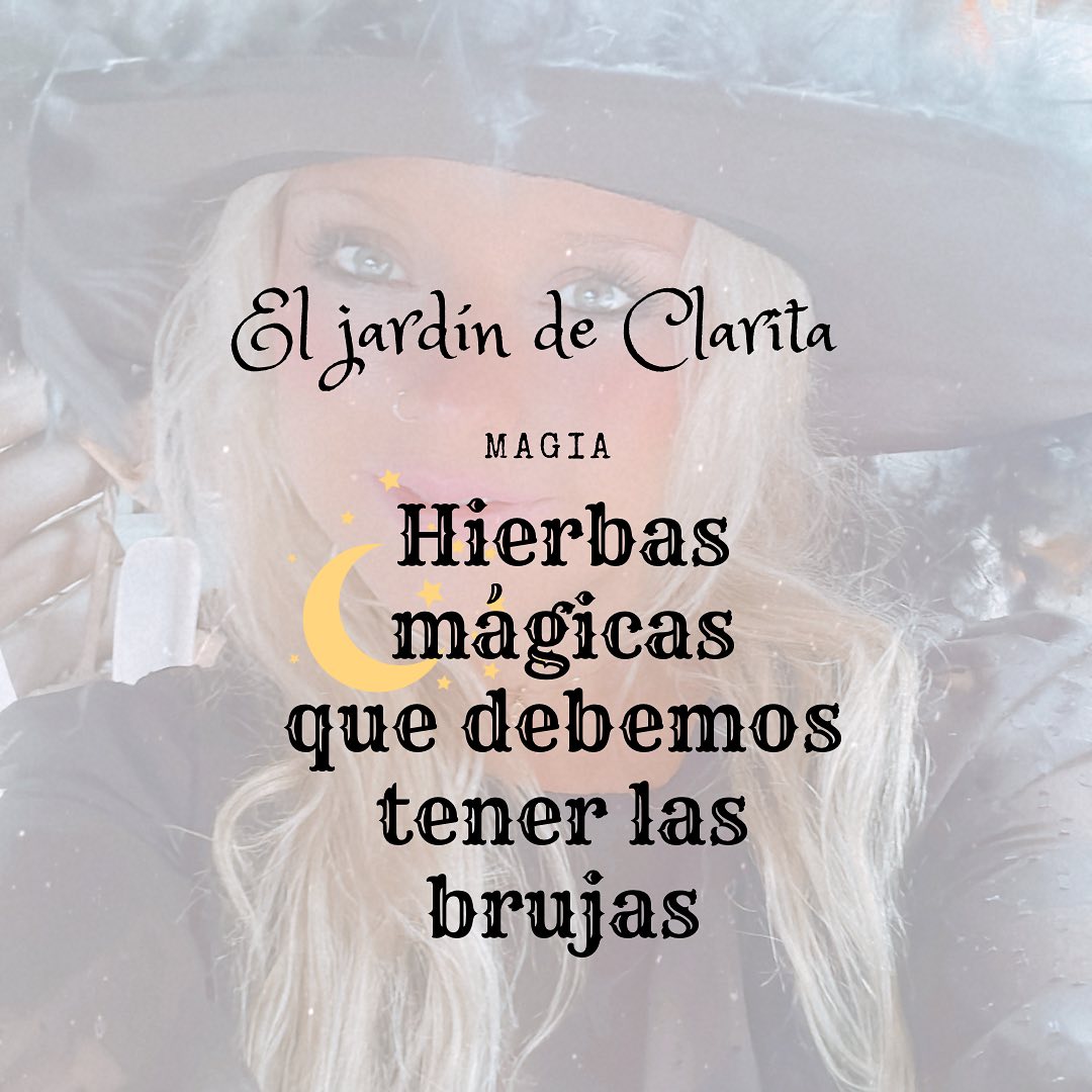 El Jardín de Clarita added a new photo. - El Jardín de Clarita