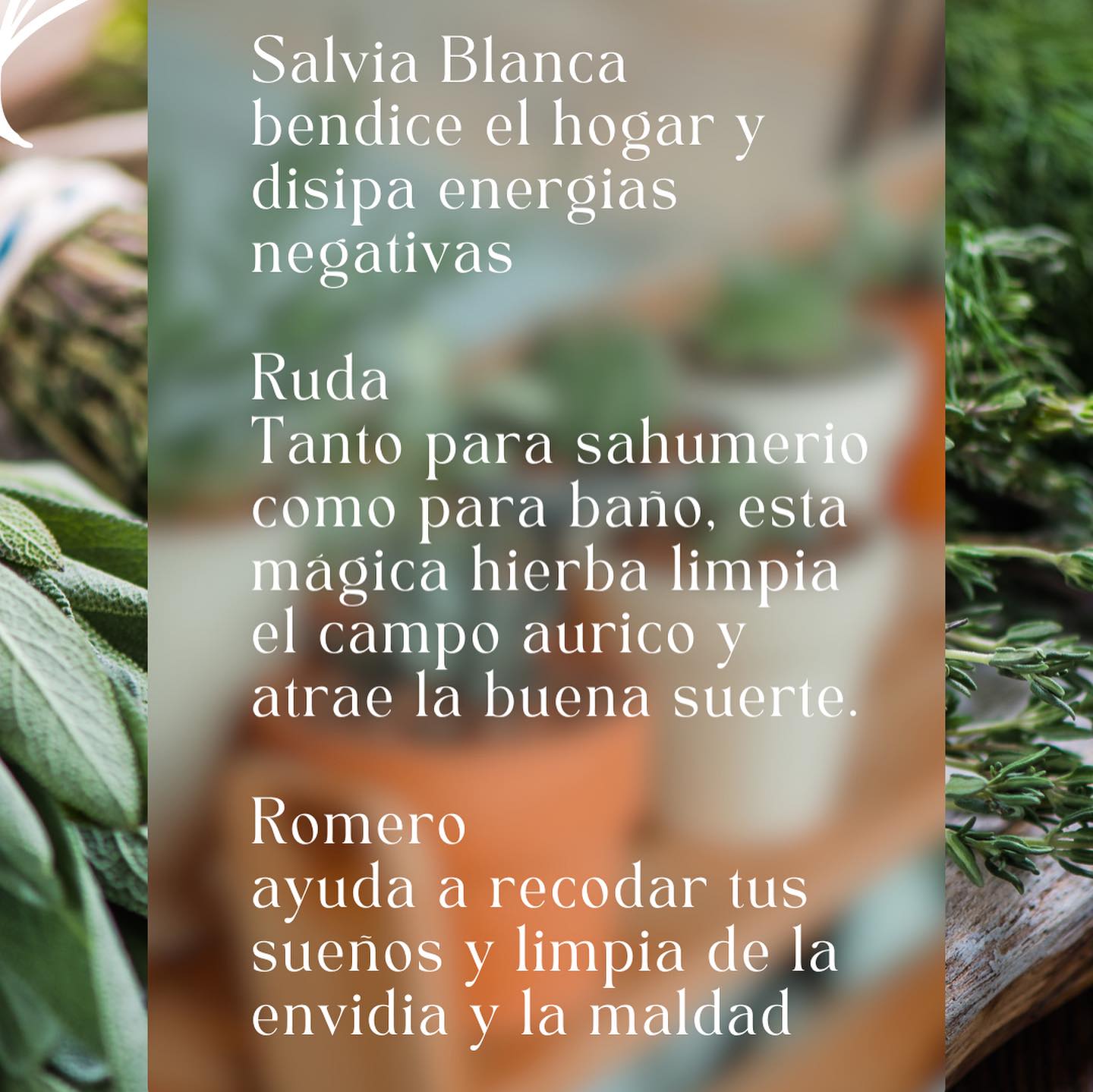 El Jardín de Clarita | Medellín