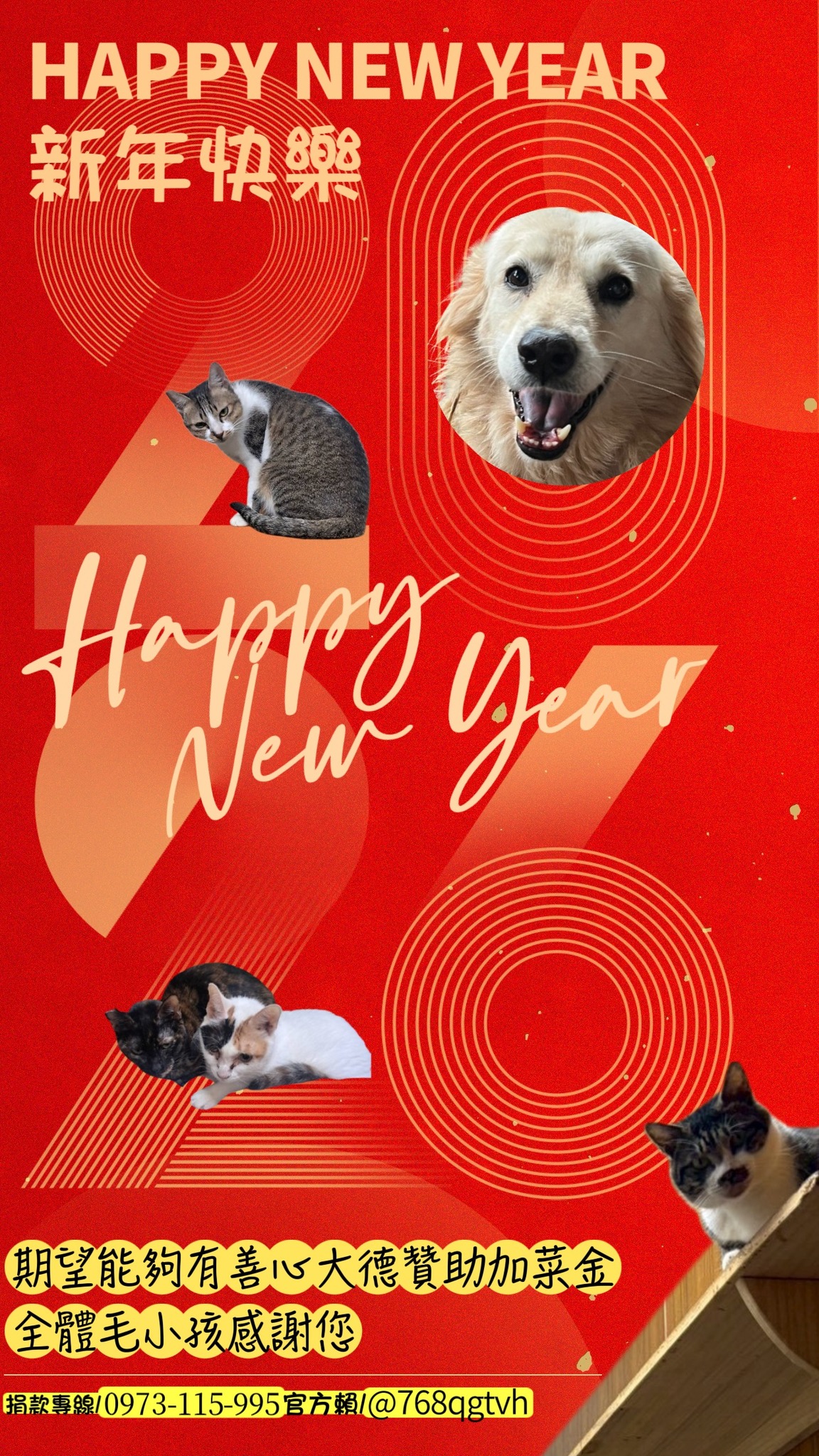 社團法人台灣流浪動物救援協會 - 【徵求100位愛毛的您 五百元助養一個毛孩子】 #很急！#很急！ #求救SOS #林愛媽已經罹患骨癌去世 ...