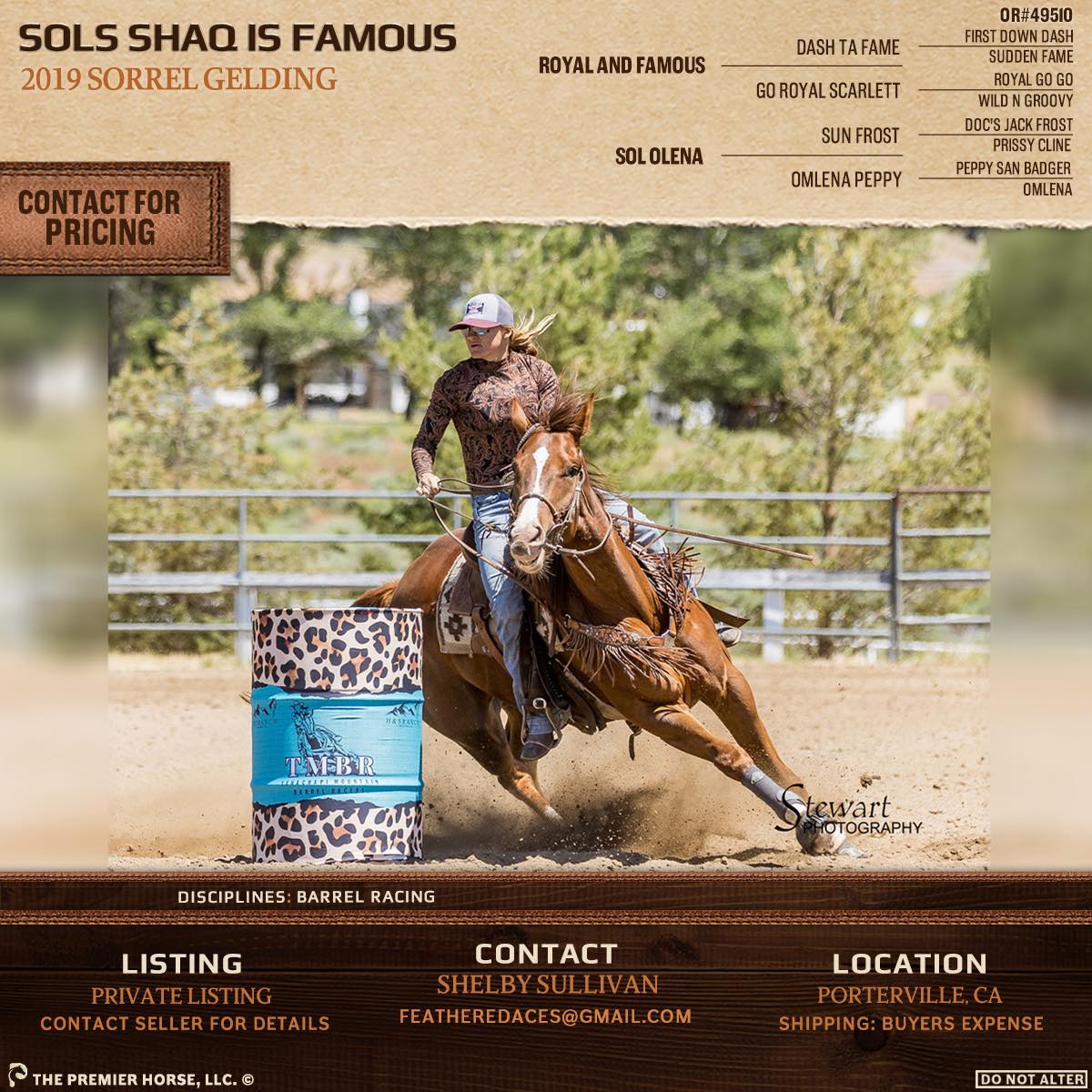 Ellison Performance Horses | Porterville CA