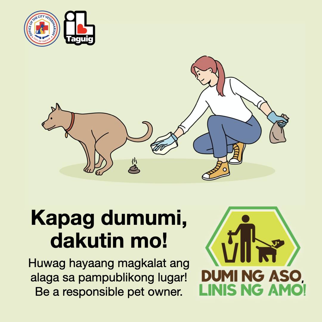 Office of the City Veterinarian - Taguig