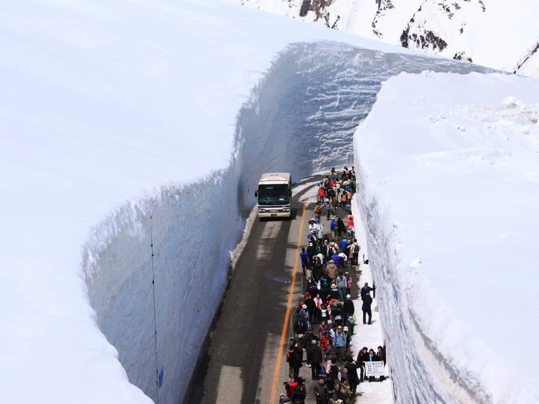 The famous snow Corridor (a.k.a Yuki no Otani ) in Toyama Japan 🇯🇵