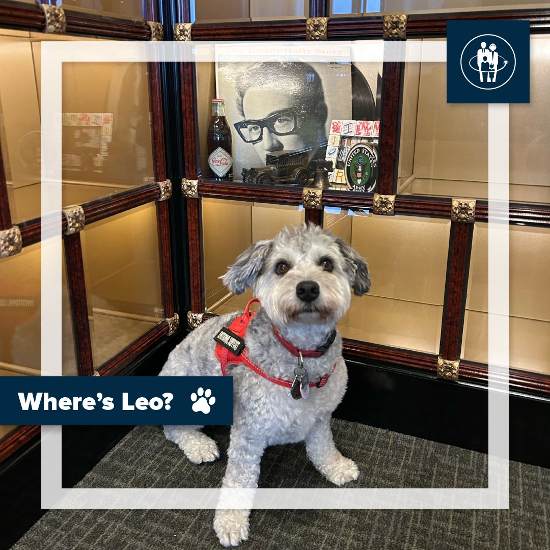Our comfort dog,... - Meierhoffer Funeral Home & Crematory | Facebook