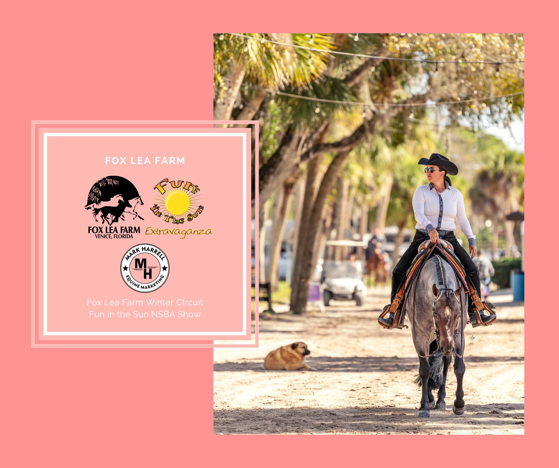 Mark Harrell Equine Marketing | Caseyville IL