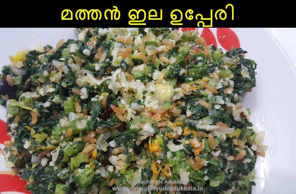 Ammachiyude - Kanthari Fish Fry 🌶️🐠 By: Helen Soman