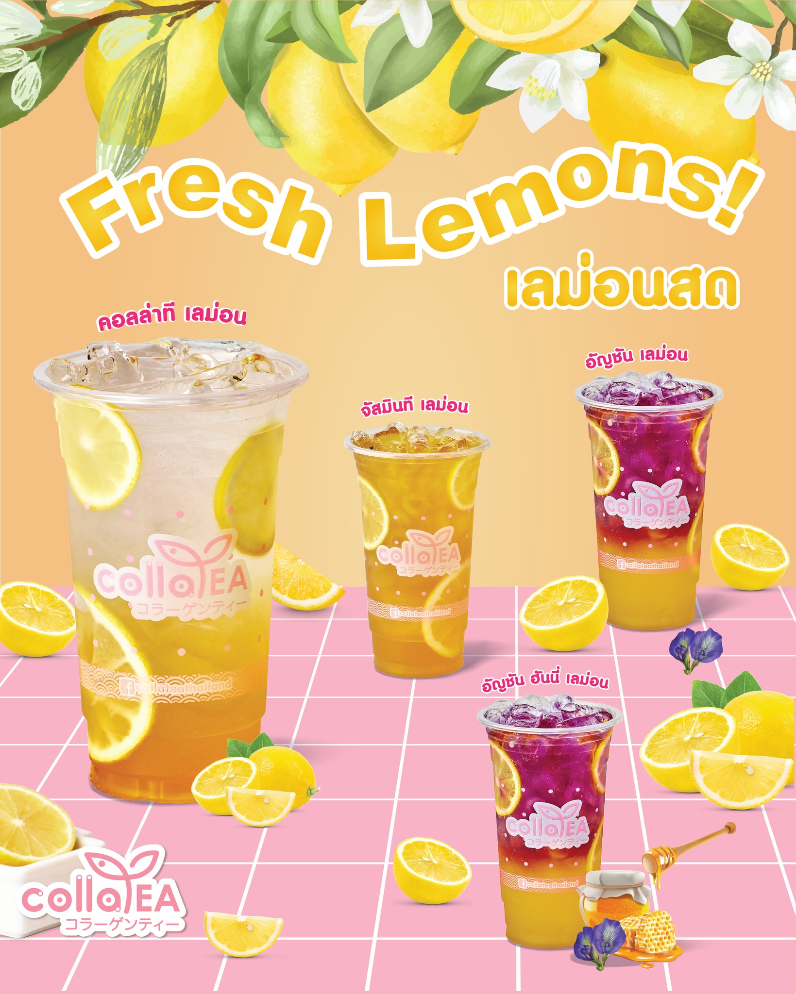 Coming soon... - Colla tea Thailand ชานมไข่มุกผสมคอลลาเจน | Facebook