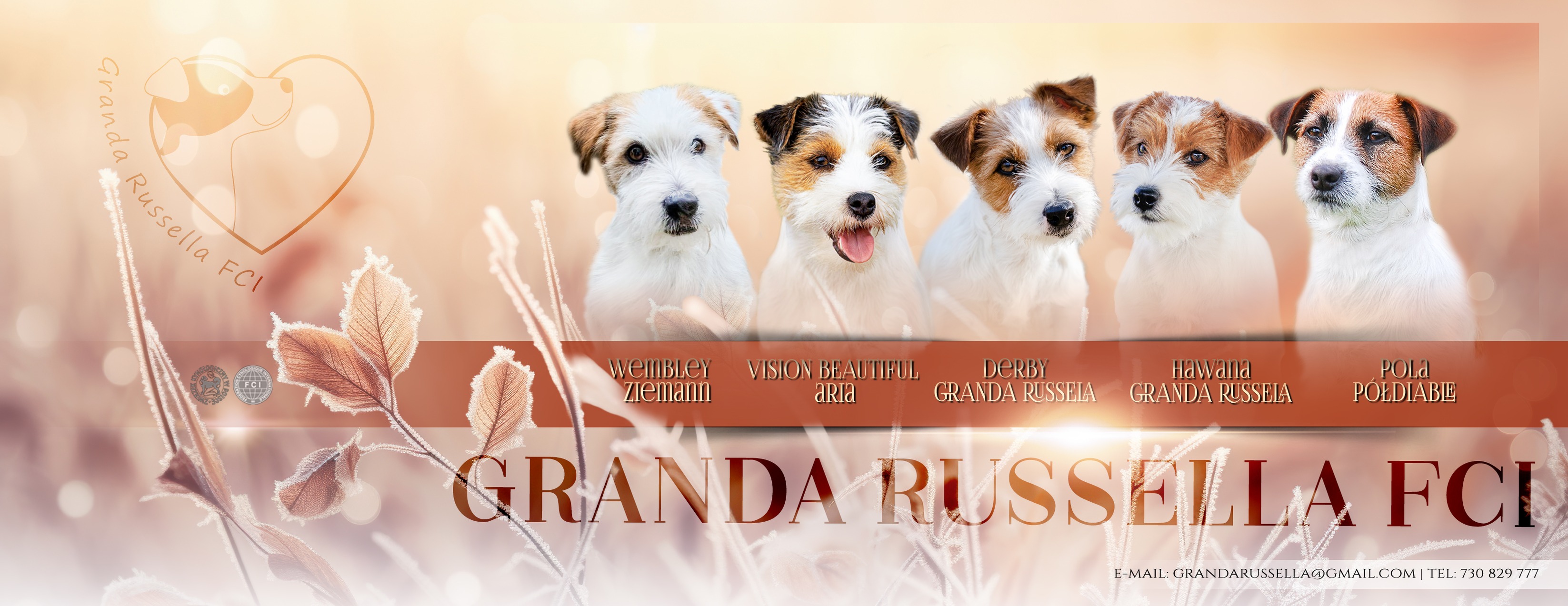 Granda Russella FCI | Rumia