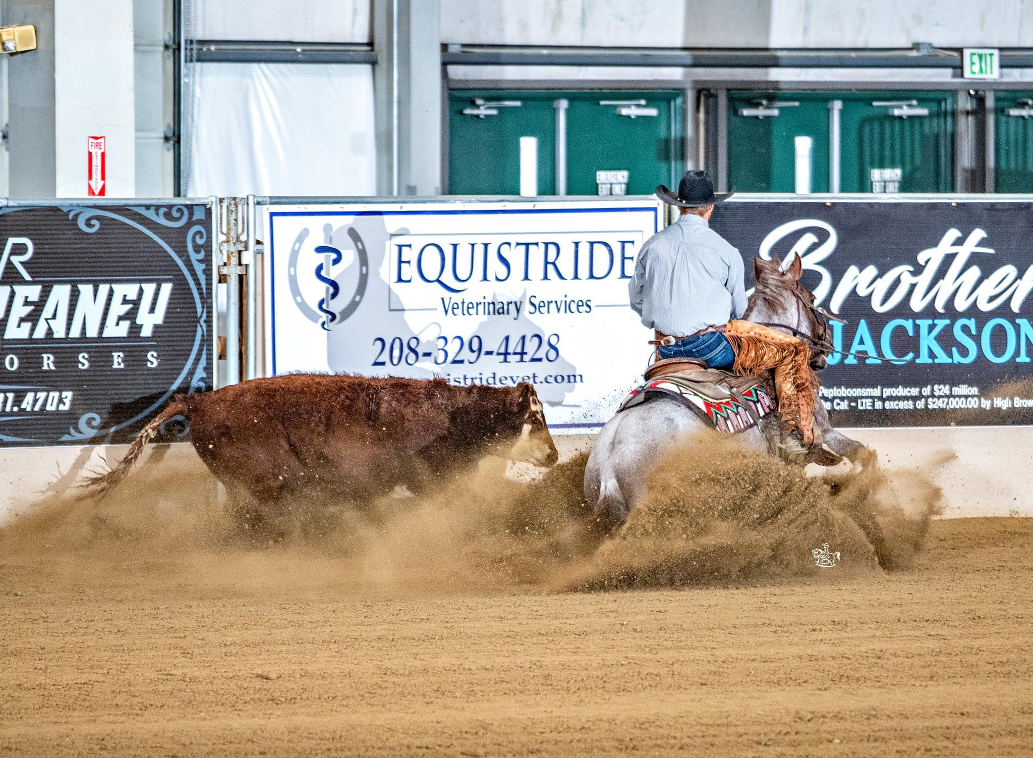 Sinc... - Sinclair's Flying S Ranch/ Horses, Harmony & Balance