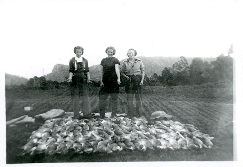 Hive - Museum Featured Story: ‘Rabbiting and Canning – Daughters of the ...