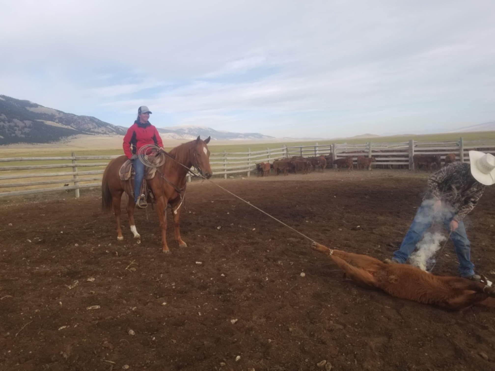 66 Ranch | Havre MT
