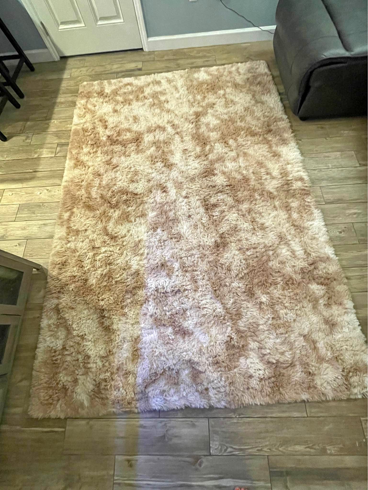VERY SOFT AREA RUG (6 x 9) - Area Rugs - Rotunda-West, Florida ...