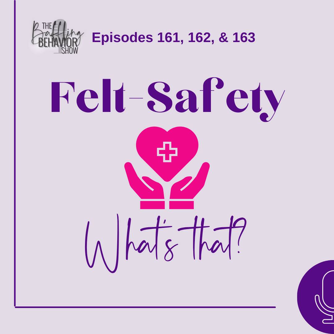 Felt safety isn't just about relationship. Felt safety is what invites ...