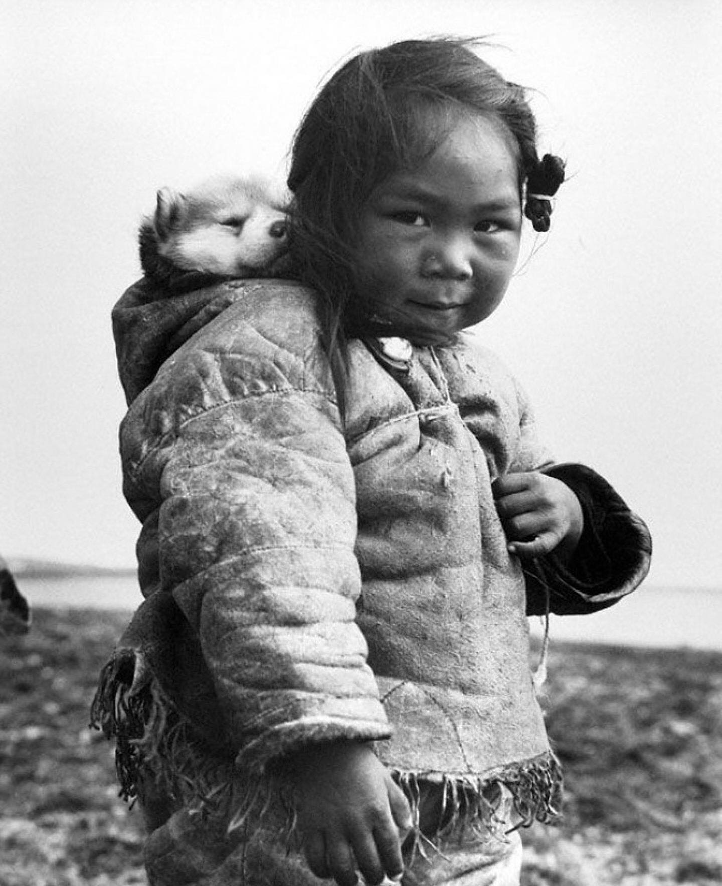 An Inuk toddler in full furs holding onto a sled, taken likely in