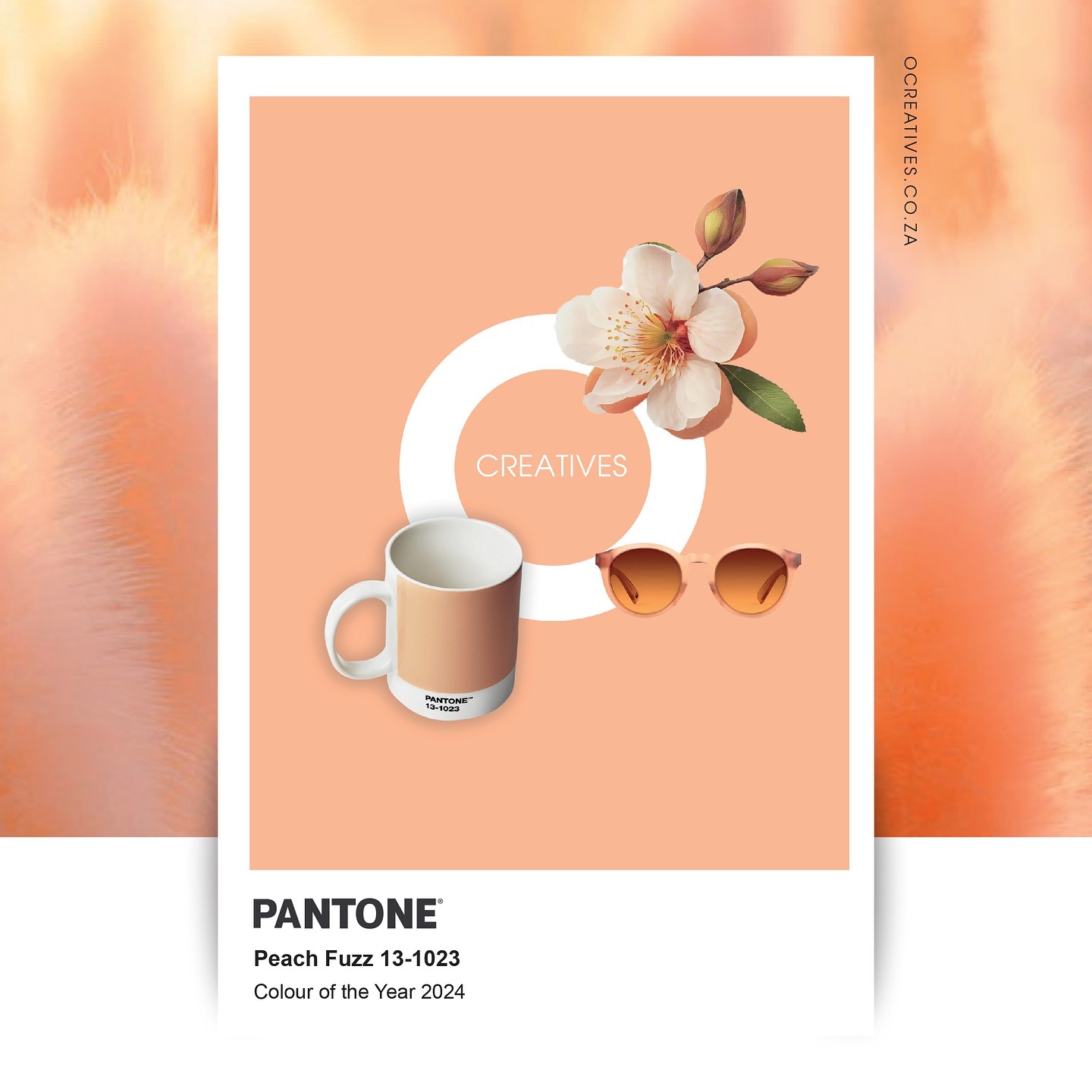 Ocreatives - 🍑 Dive into 2024 with Ocreatives! 🌟 Embracing the Pantone ...