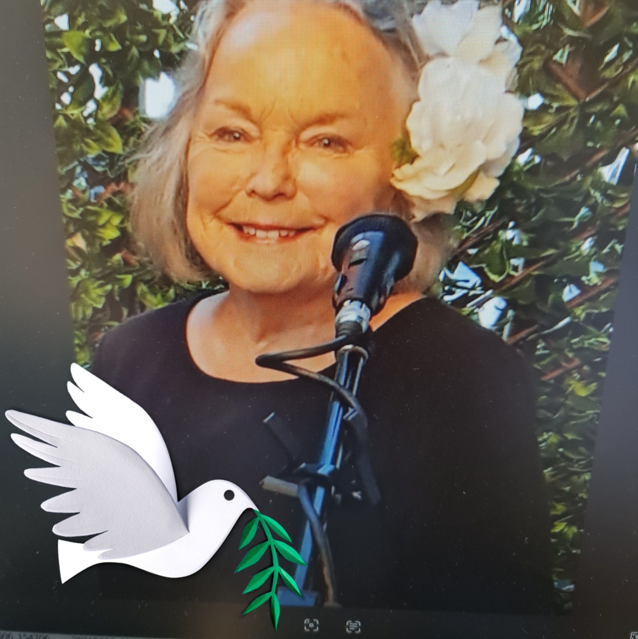 Judith C Doyle