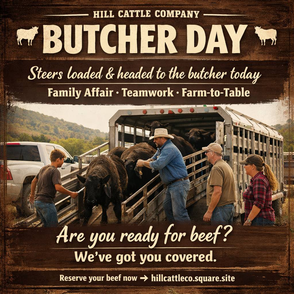 Hill Cattle Co. - 🐂 BUTCHER DAY IS HERE! 🐂 THESE... | Facebook