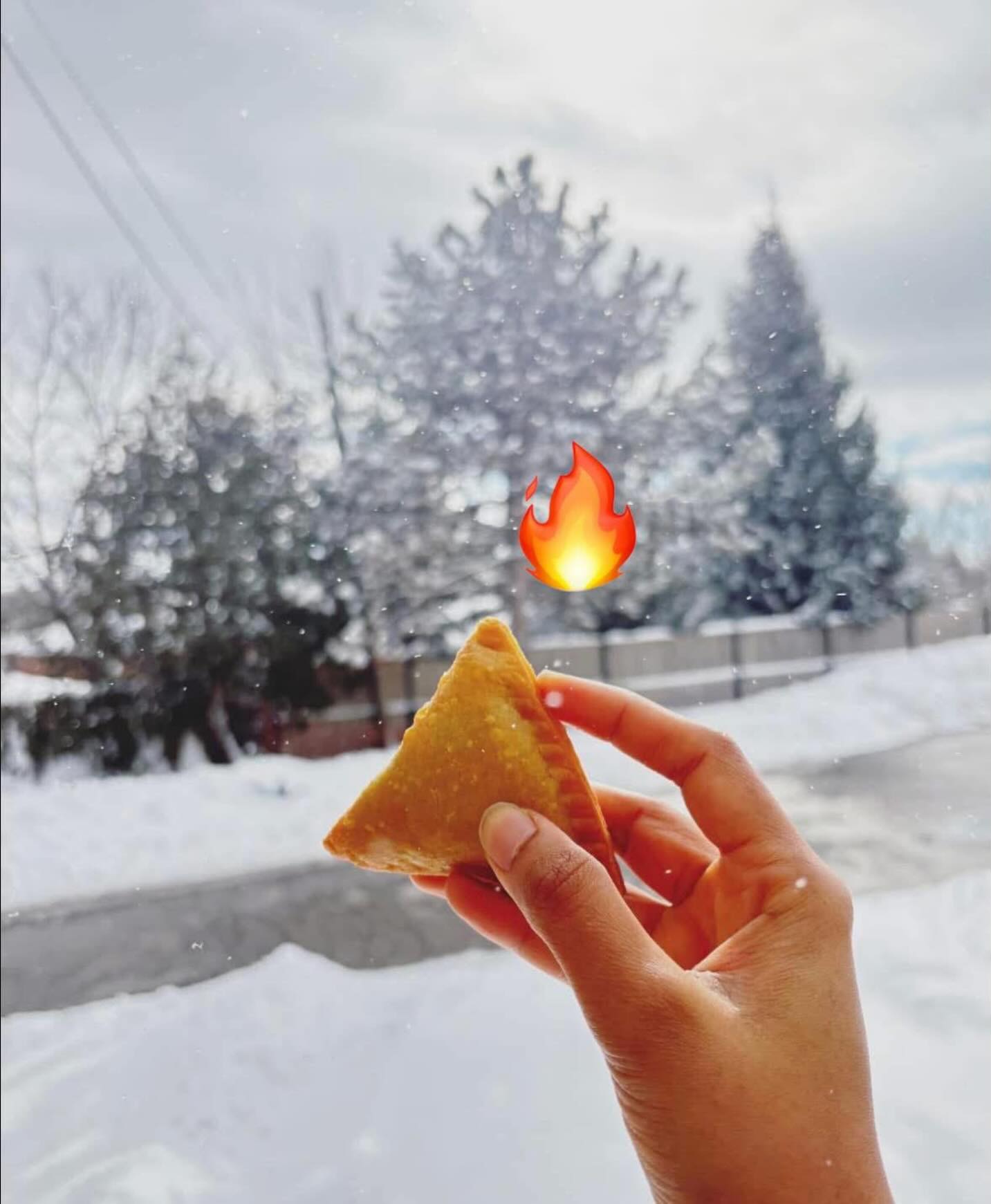 The Samosa Master Inc. | Newmarket ON