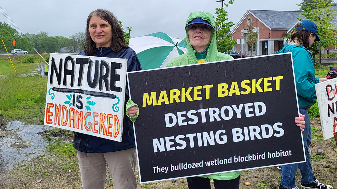 Protest destruction... - New Hampshire Animal Rights League | Facebook
