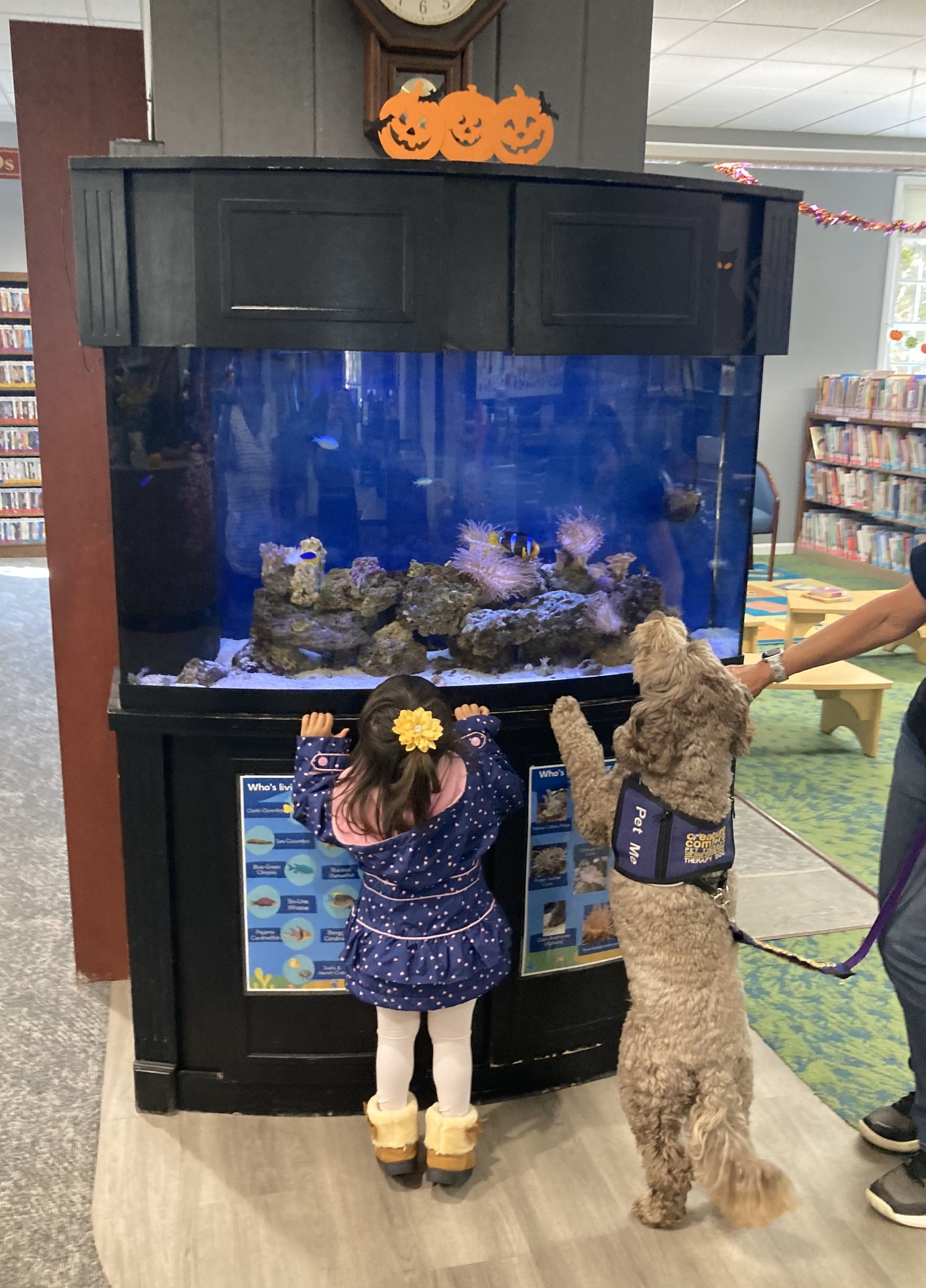 Sparta Library Youth Services | Sparta NJ