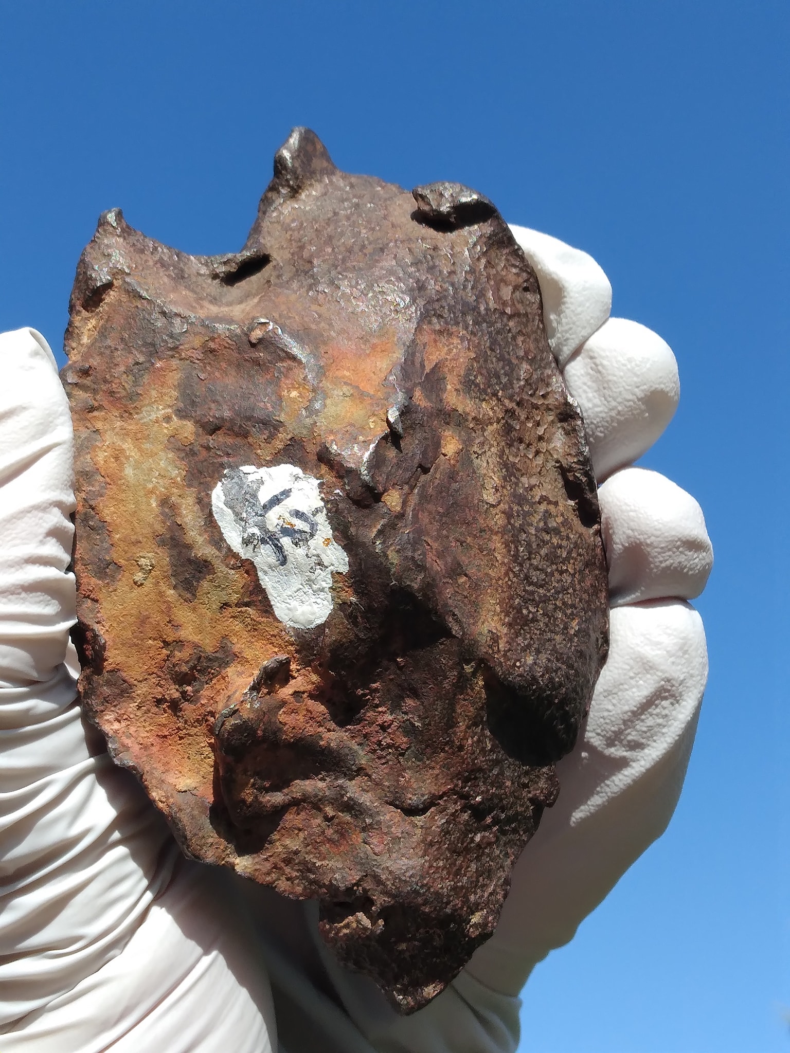342.7g sheild shaped Gebel Kamil iron (ungrouped) meteorite with 