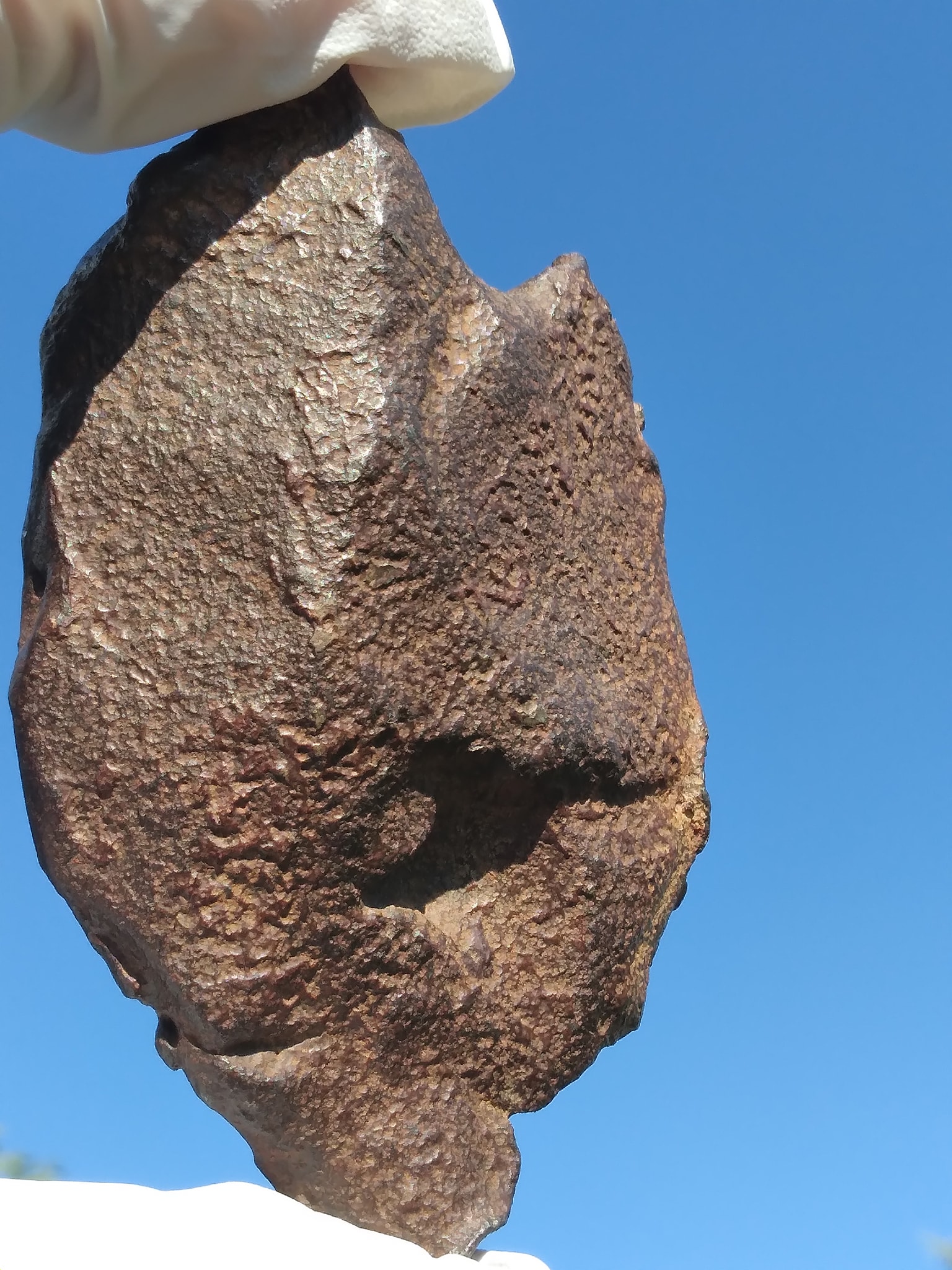 342.7g sheild shaped Gebel Kamil iron (ungrouped) meteorite with 