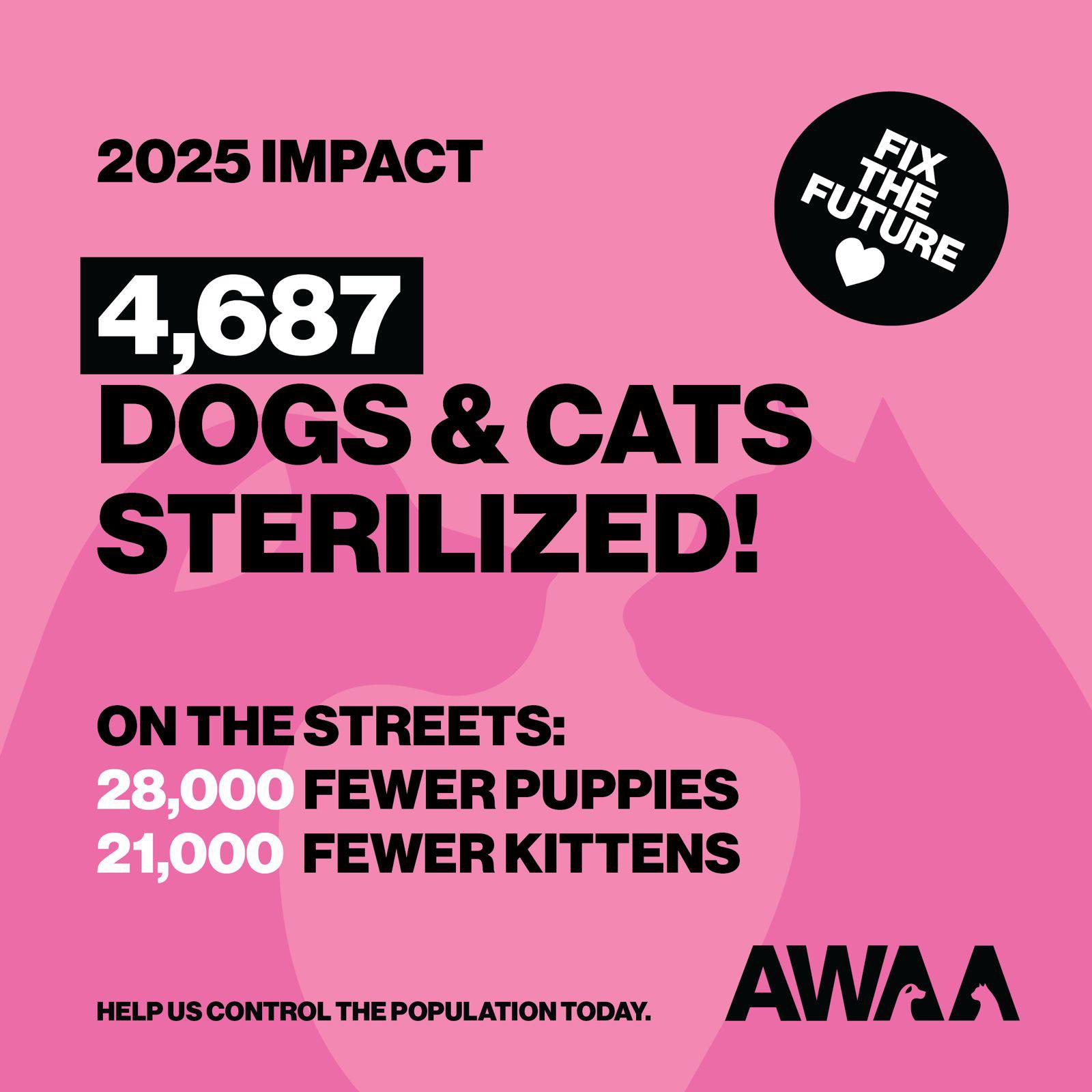 2025 RESULTS and our MESSAGE FOR... - Aruba Street Angels | Facebook