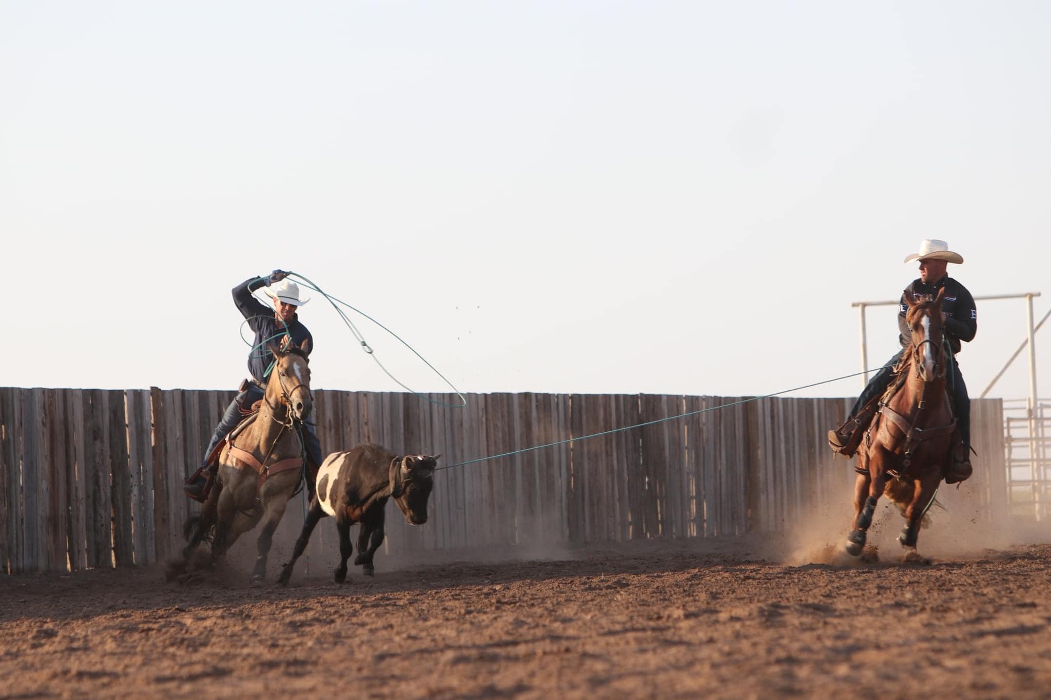 Roping.com - Roping Tip “If a heel horse's head is to the right, when ...
