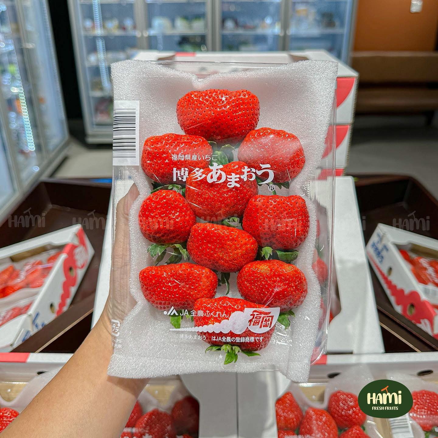 Sweet Japanese Amaou Strawberry 🍓🇯🇵 Amaou Strawberry from